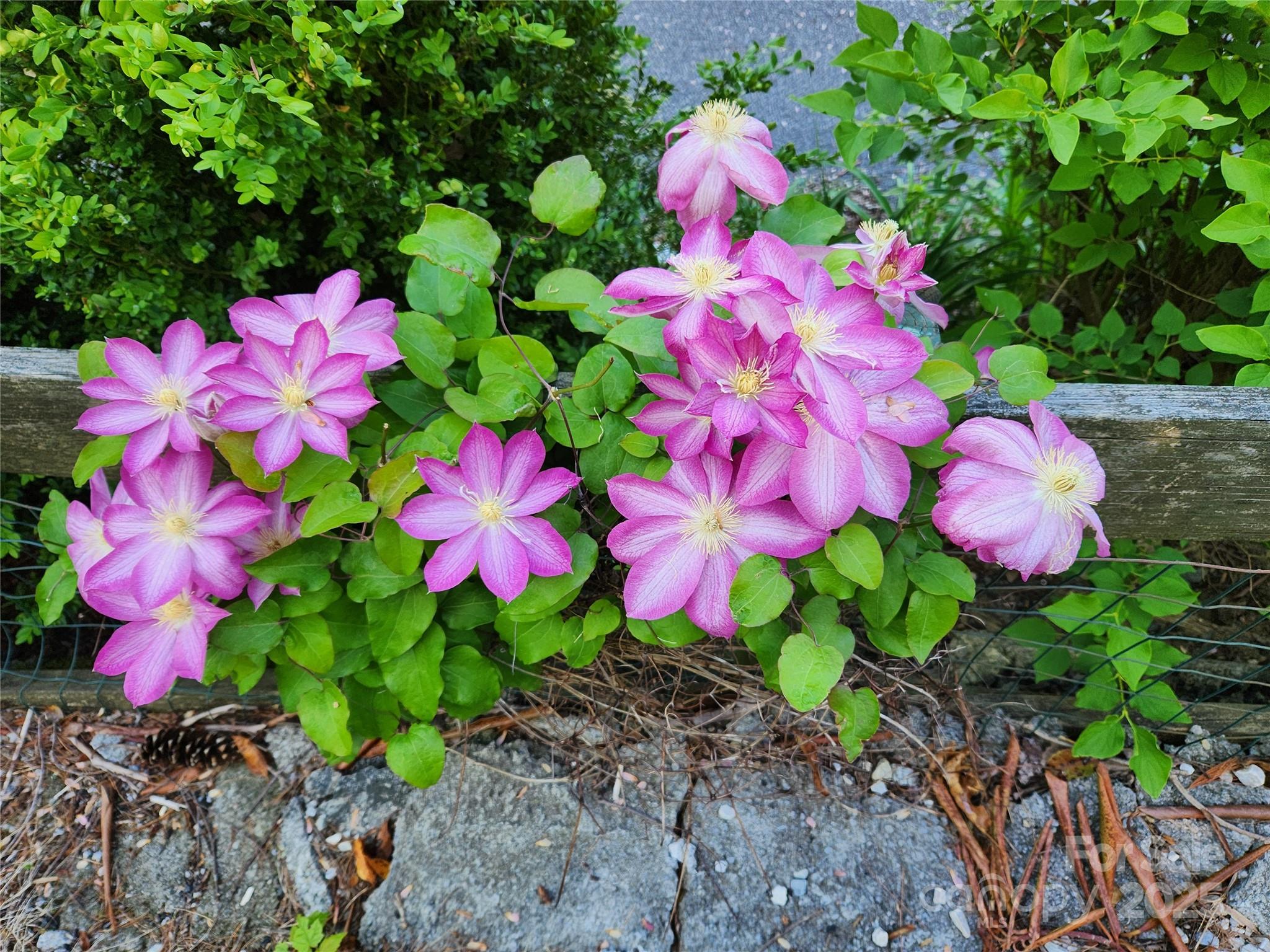 Hickory Hill - Residential