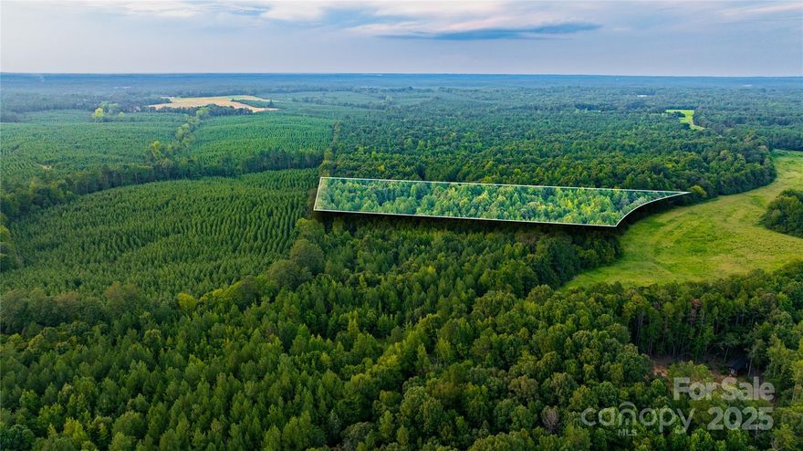 Welcome to Daystar Farms, a new subdivision offering 20 unique tracts ranging from 4(+) to 77 acres. Whether you’re seeking a serene residential lot, a mini-farm, hunting preserve, or a recreational haven, Daystar Farms has the perfect property for you. Daystar Farms is more than just a place to live; it’s a lifestyle. Imagine waking up to the sounds of nature, exploring your own private land, and having the space to pursue your passions. Build your vision-your way. Lot 11B is heavily wooded with a mix of hardwoods and pines allowing you to choose your homesite with plenty of elbow room and privacy. Daystar Farms is conveniently located with easy access to nearby amenities without sacrificing peaceful rural living. Soil tests have been performed with favorable results for conventional septic systems.