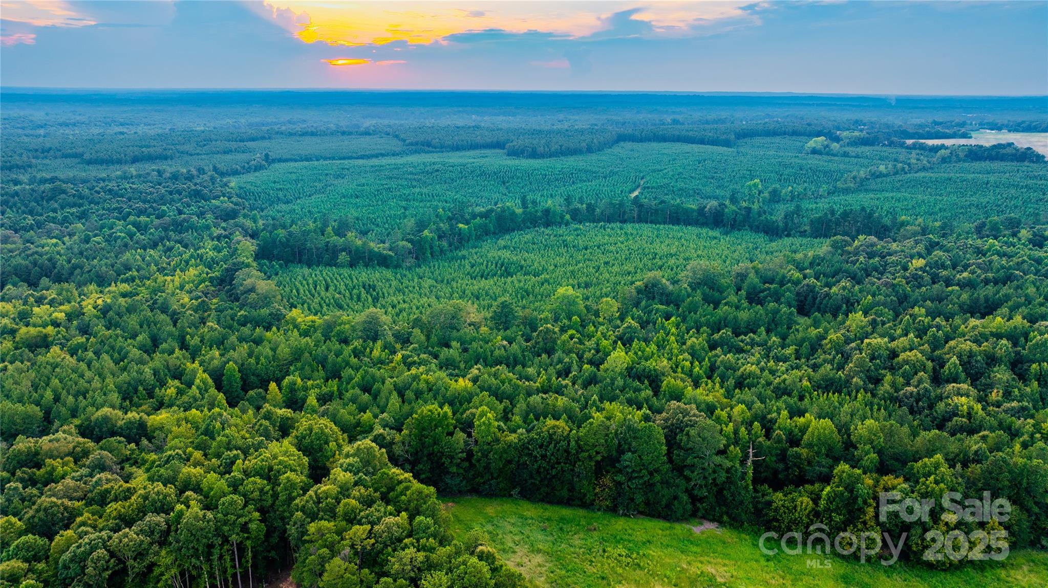 000 Daystar Road 11B