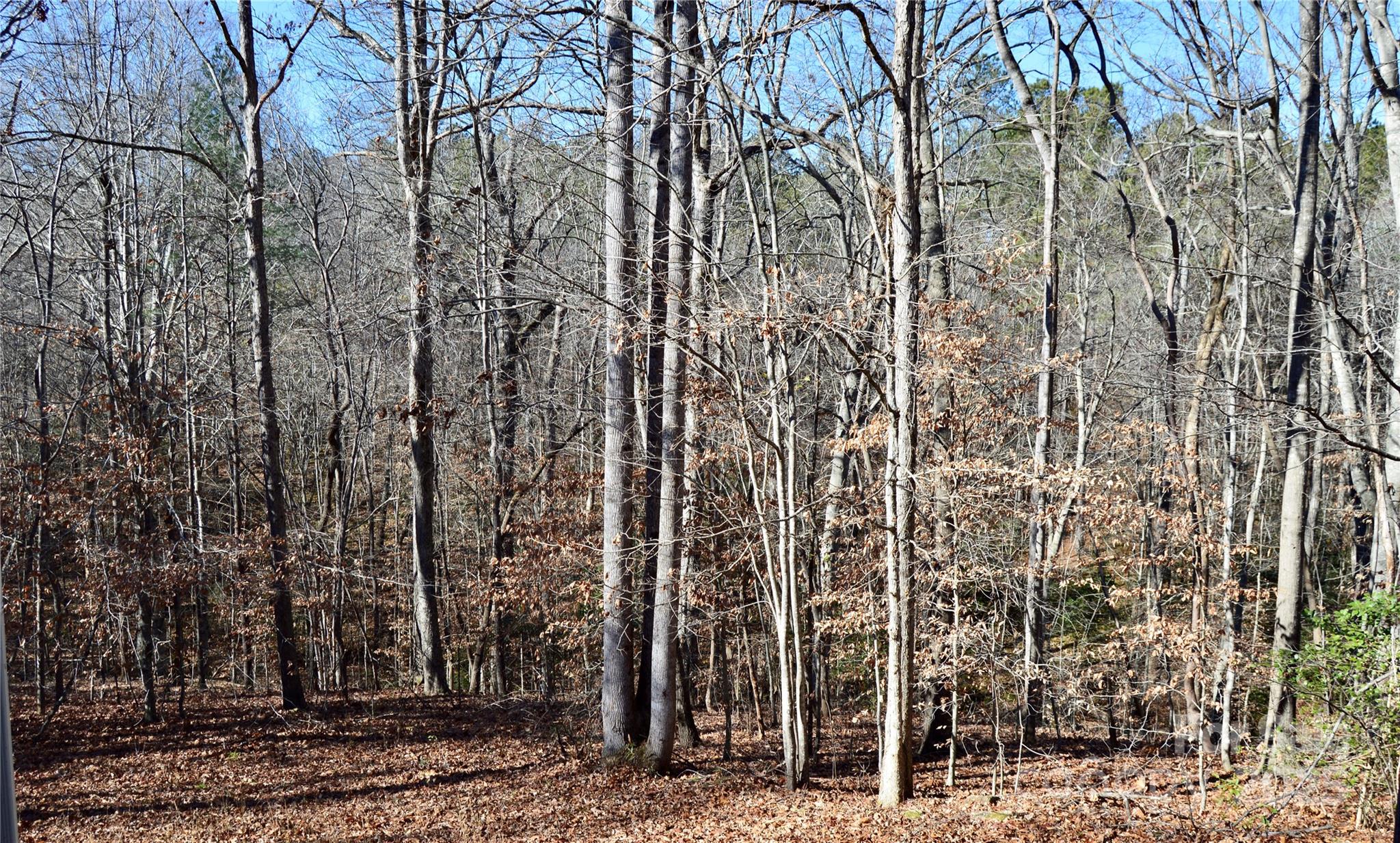 The Summit - Residential