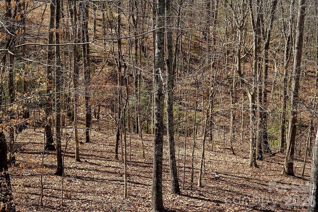 The Summit - Residential