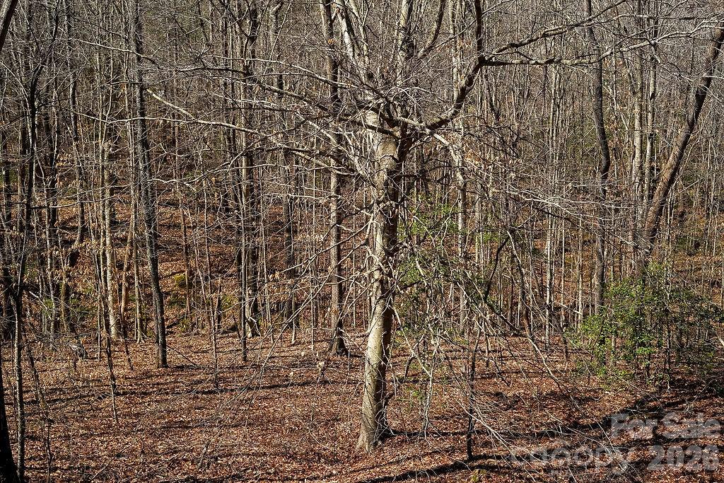 The Summit - Residential