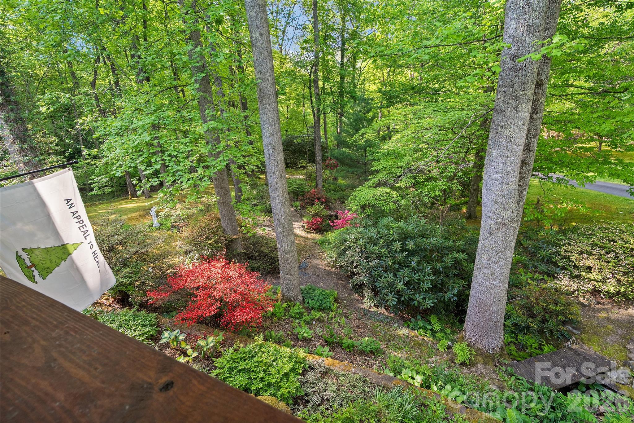 Maggie Valley Country Club Est - Residential