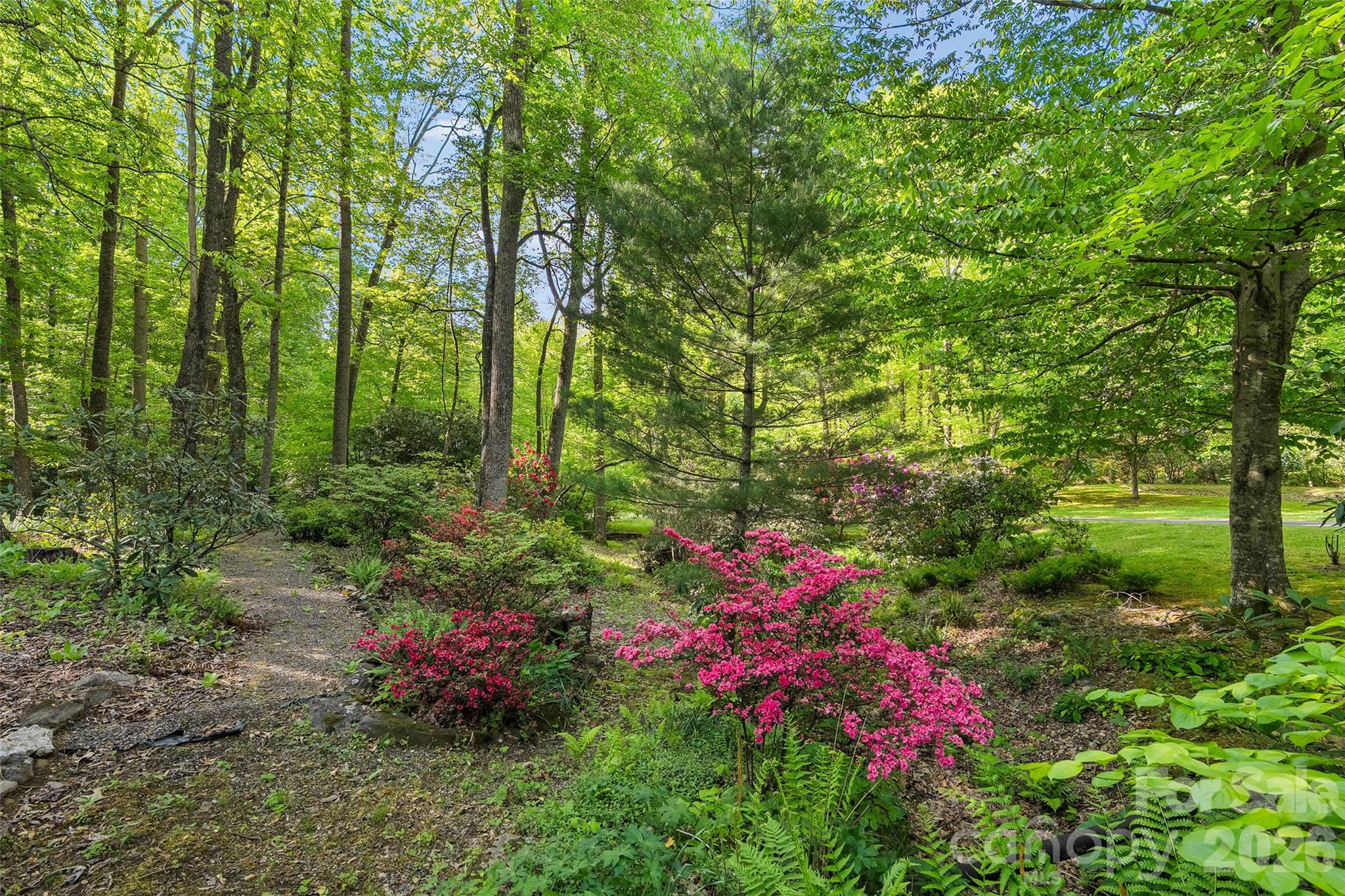 Maggie Valley Country Club Est - Residential