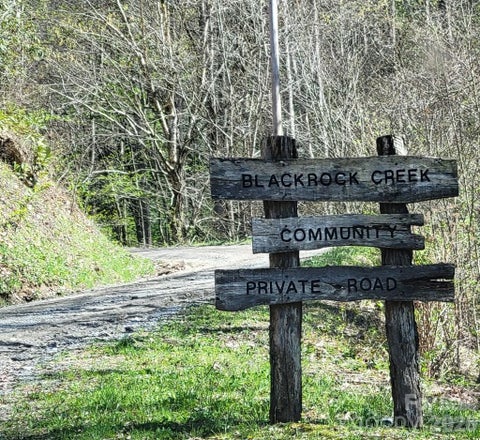 Photo of Lot #15 Black Rock Creek Road, Qualla, NC 28779 (MLS # 4433405)