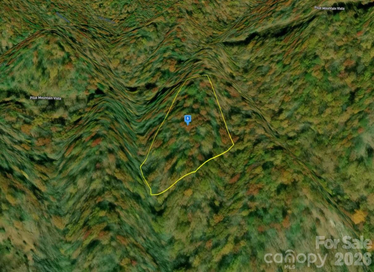 111 Pilot Mountain Vista