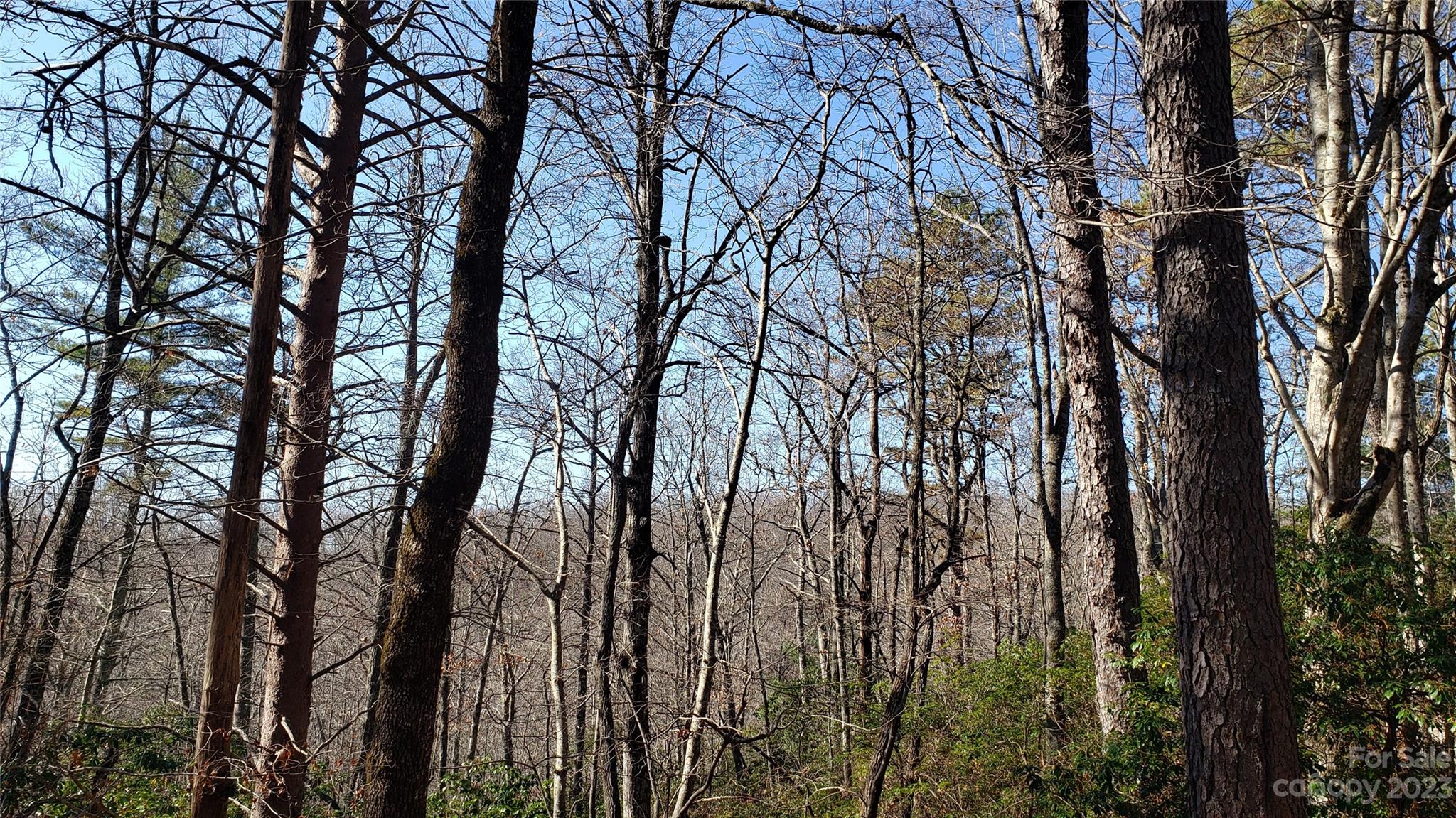 Sequoyah Woods - Land