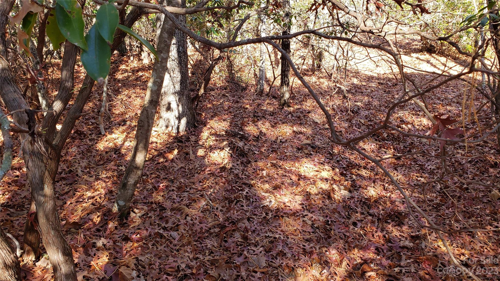 Sequoyah Woods - Land