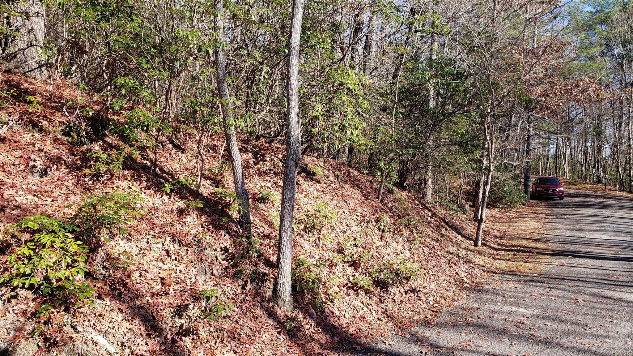 Sequoyah Woods - Land