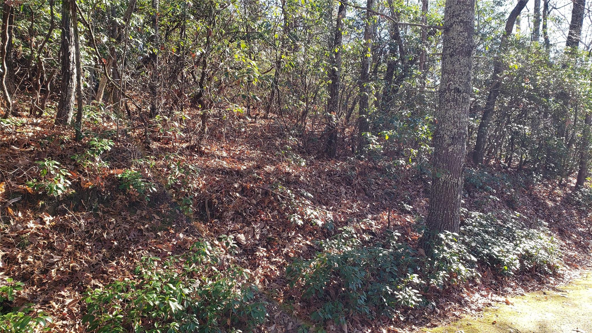 Sequoyah Woods - Land