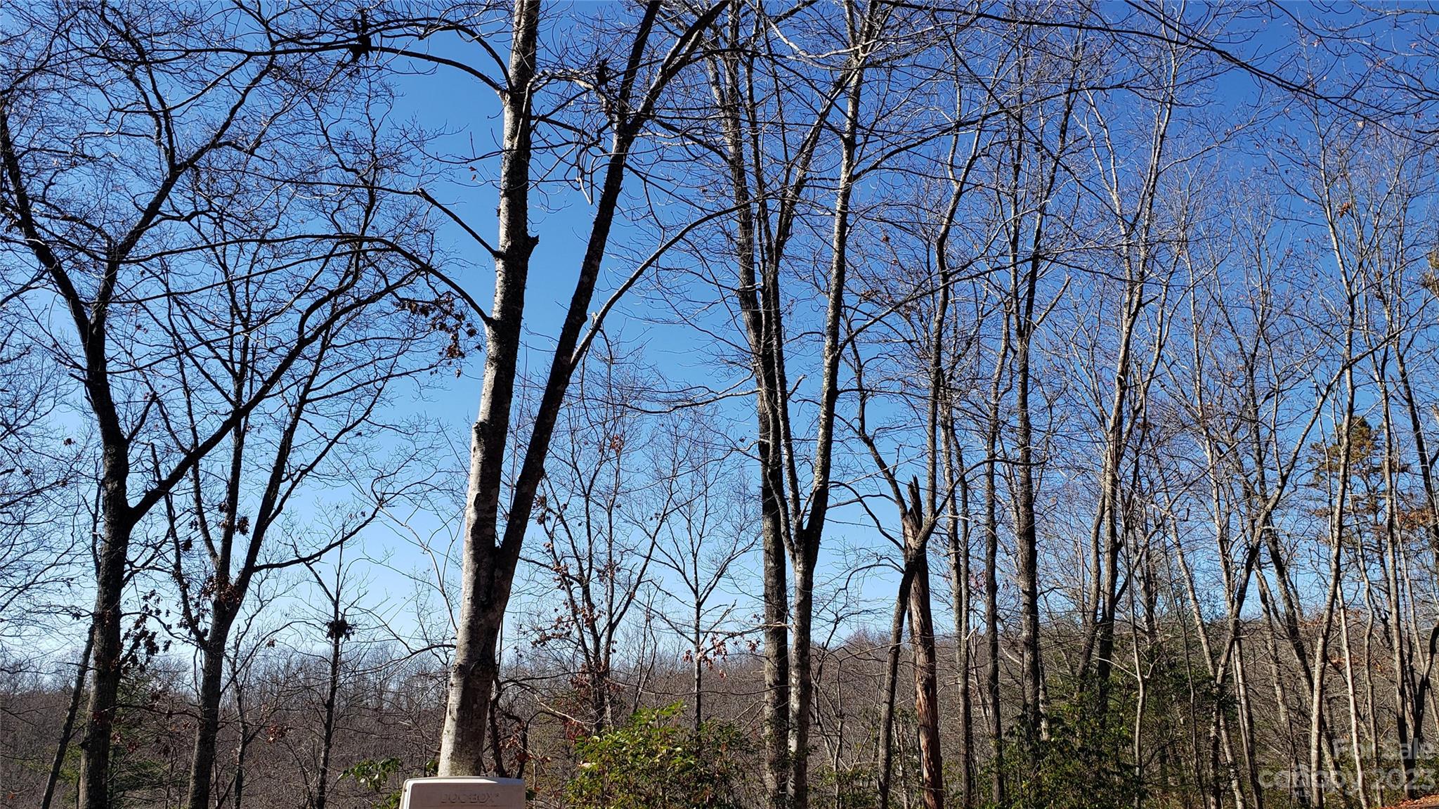 9999 Galax Lane G-11