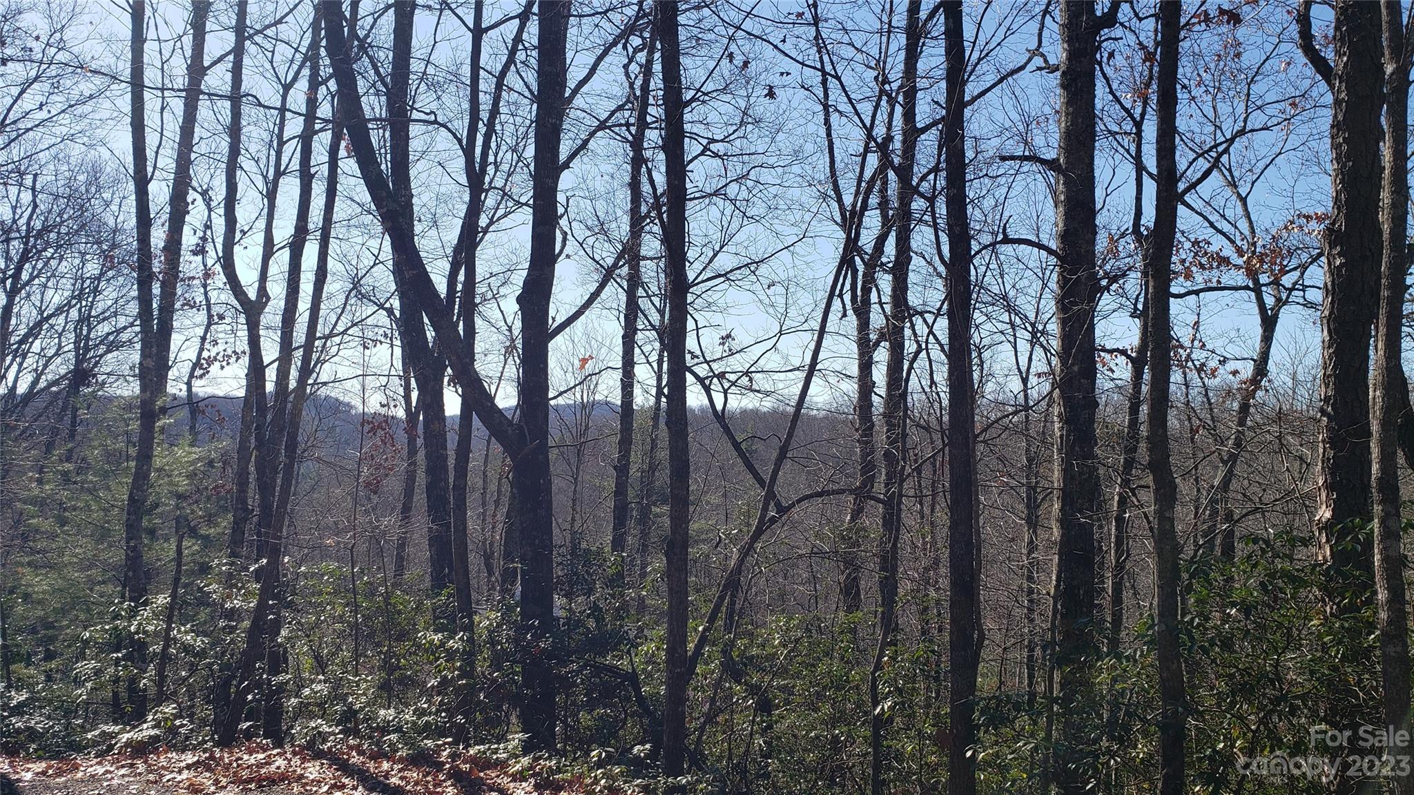 Sequoyah Woods - Land