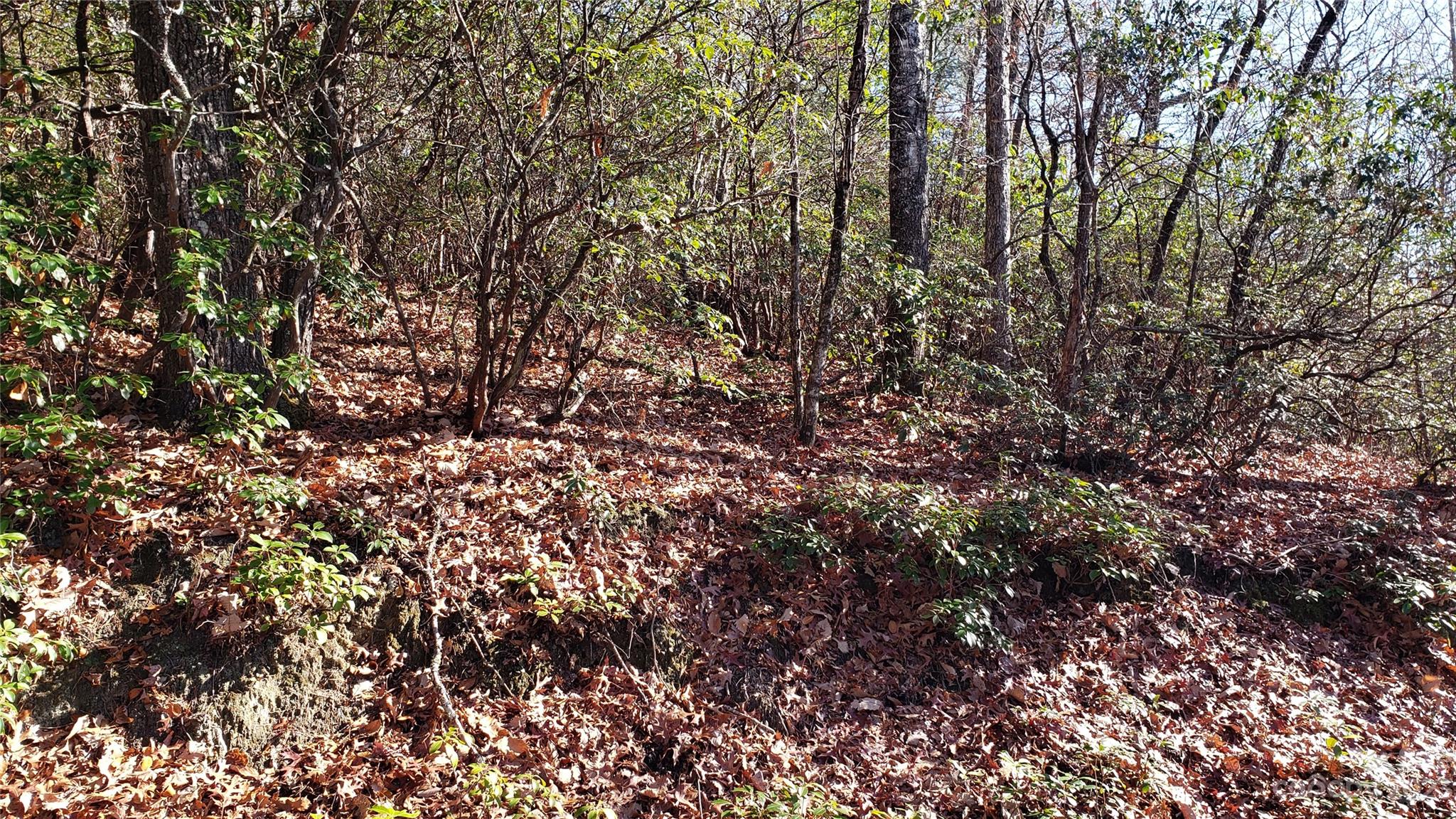 Sequoyah Woods - Land