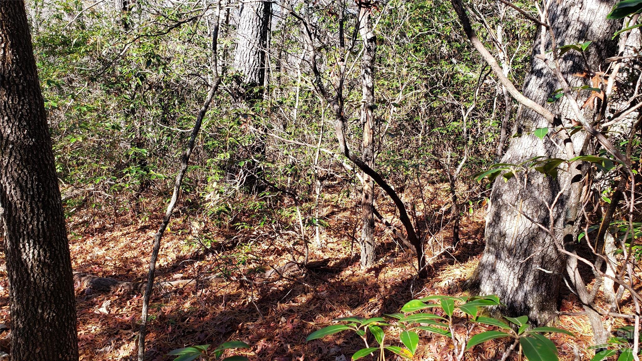 Sequoyah Woods - Land