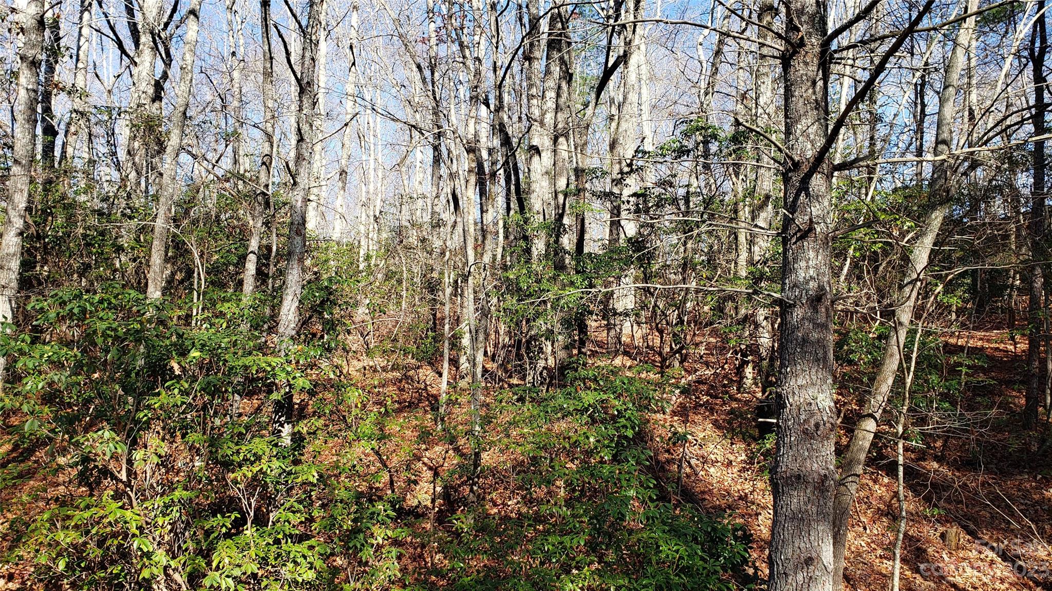 Sequoyah Woods - Land