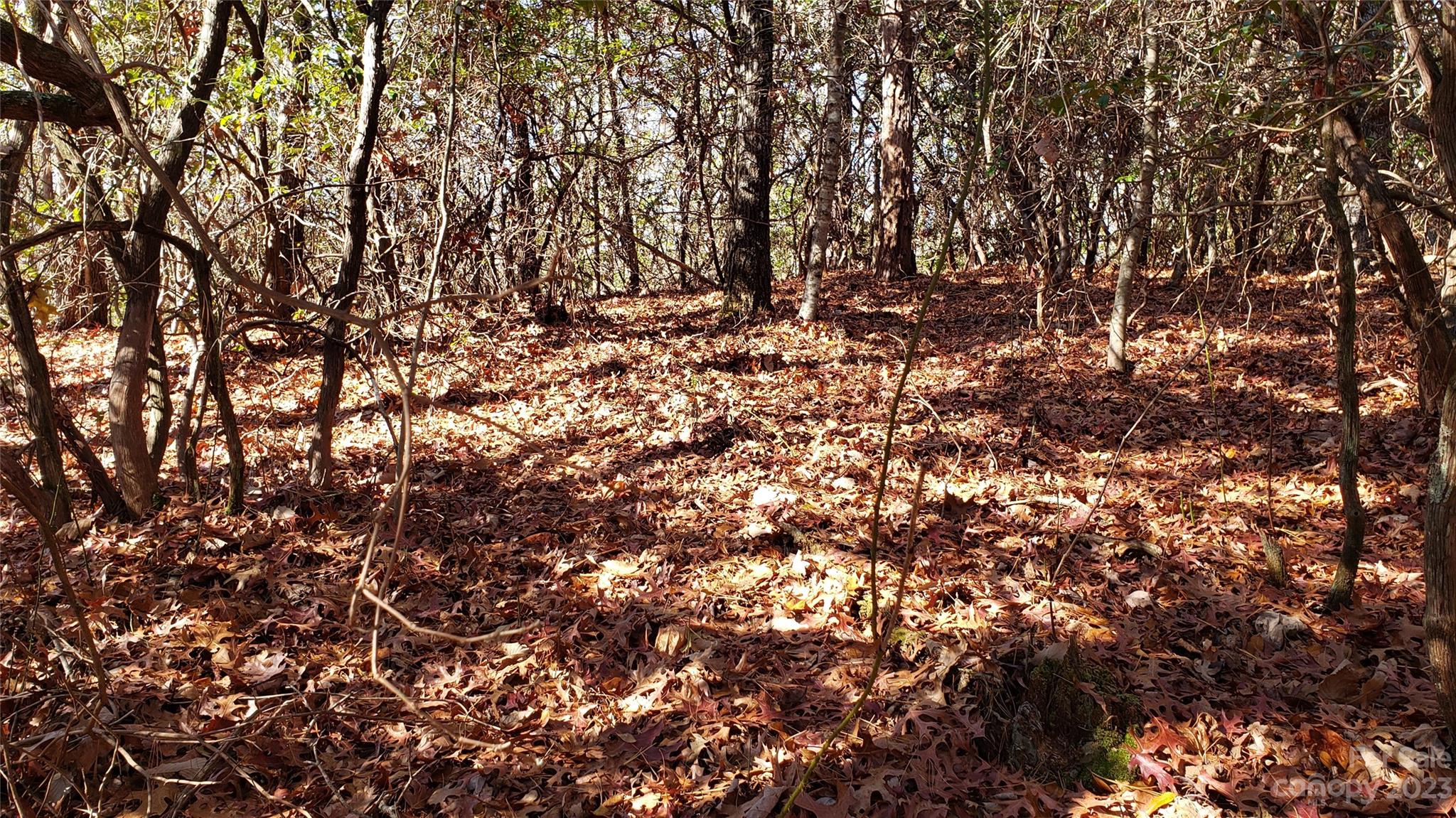 Sequoyah Woods - Land