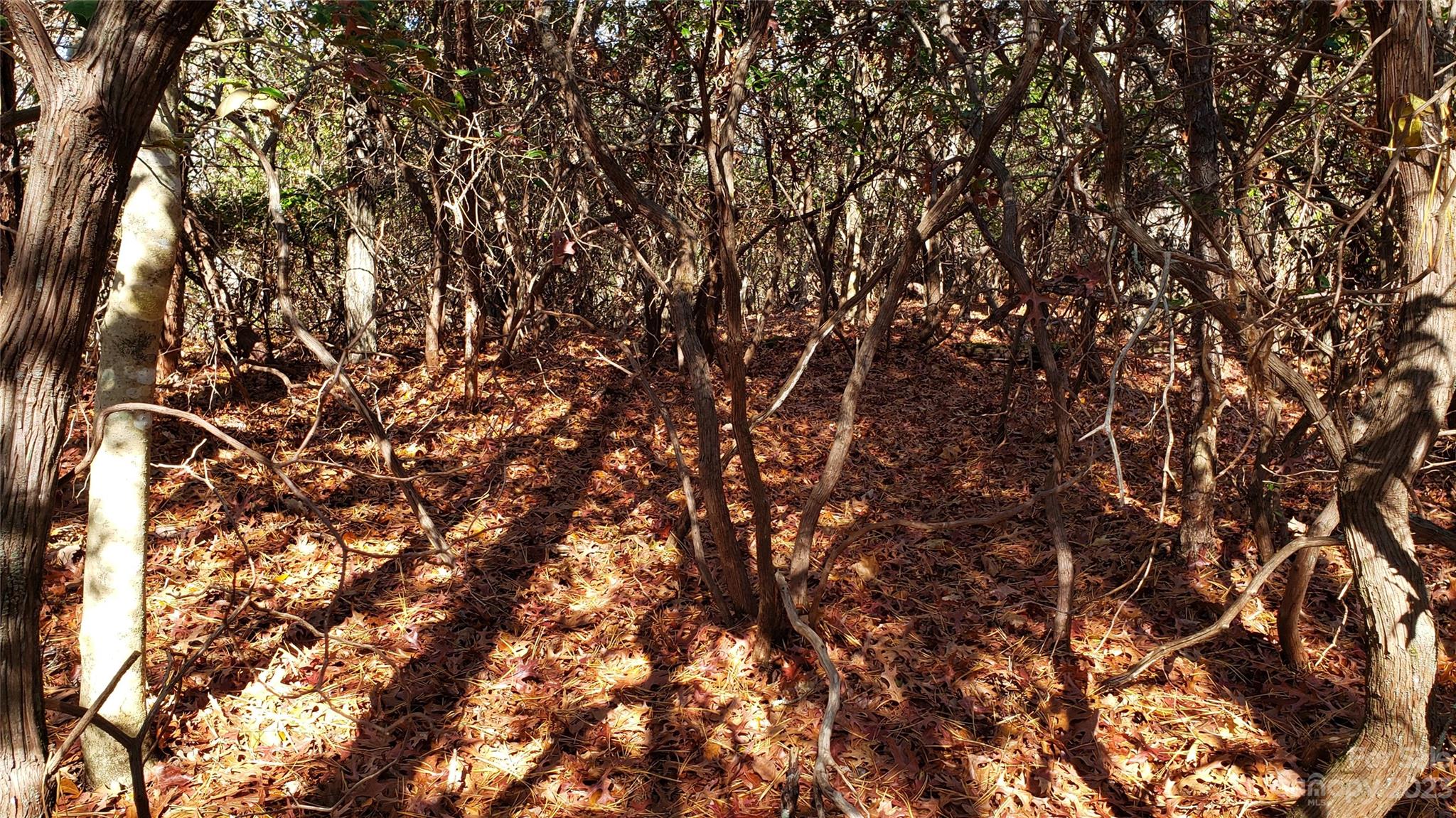 Sequoyah Woods - Land