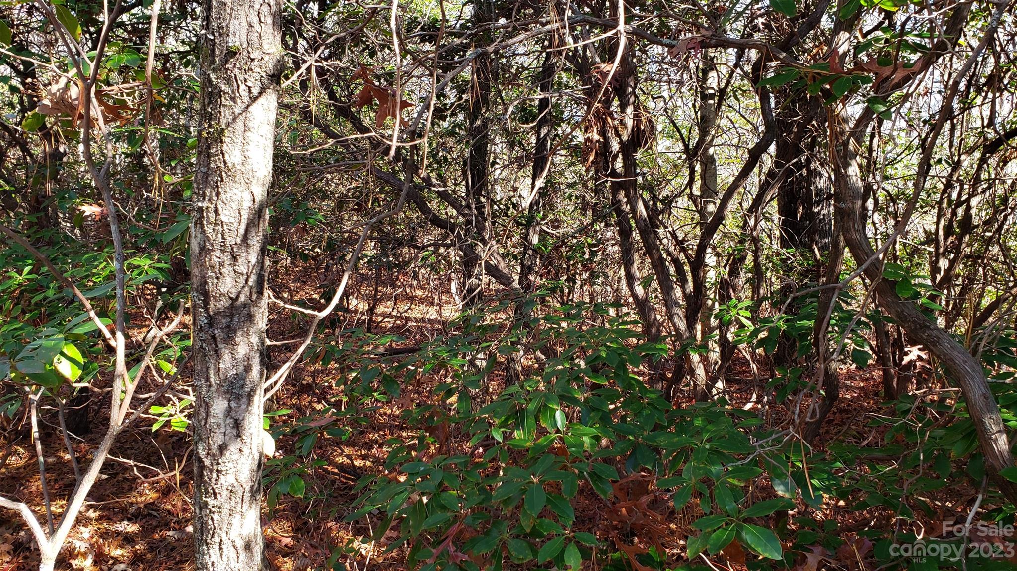 Sequoyah Woods - Land