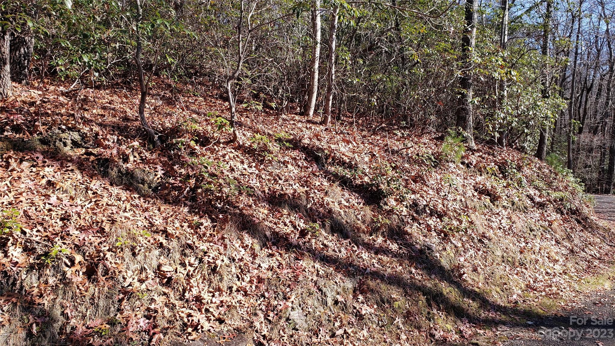 Sequoyah Woods - Land