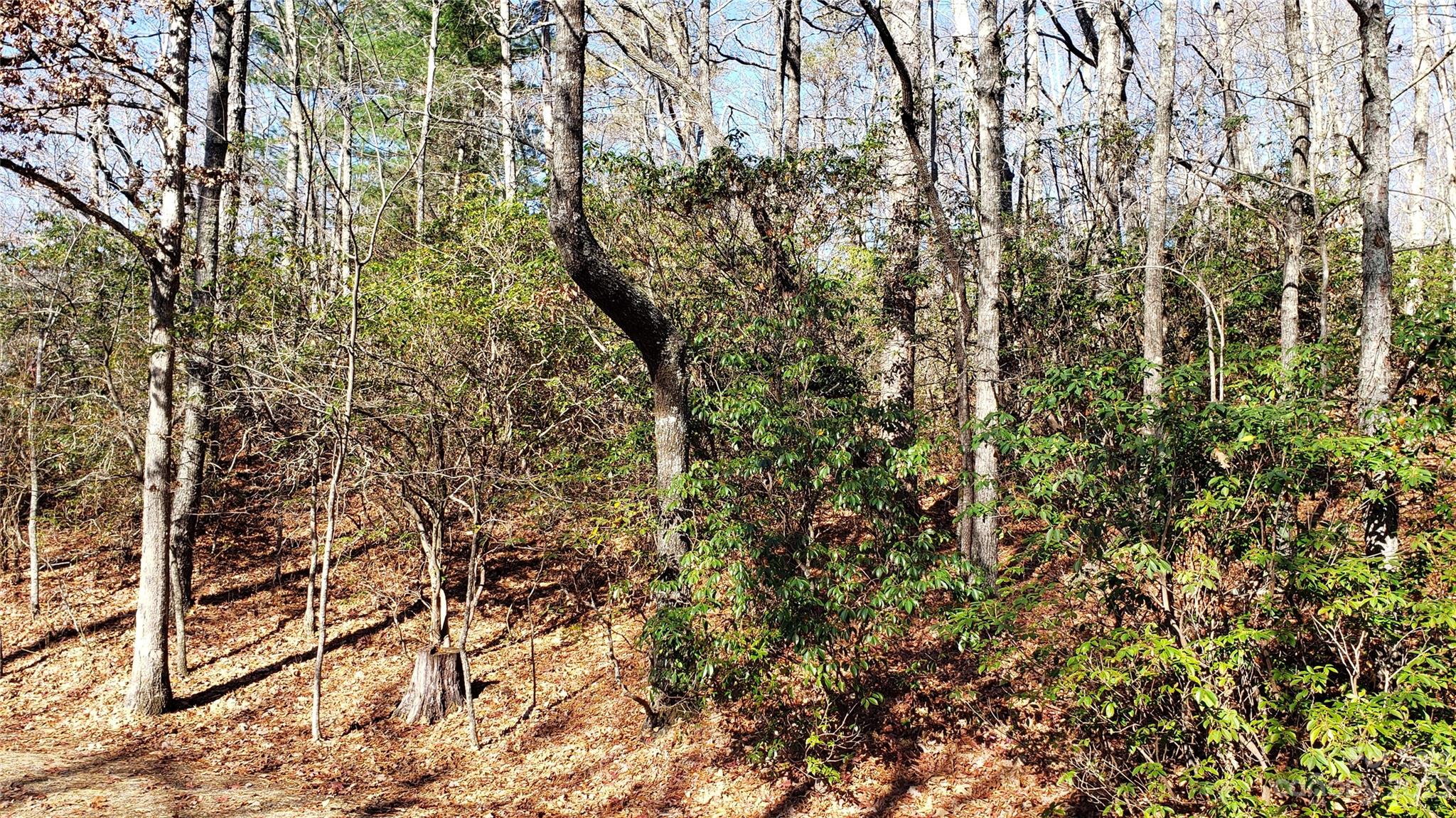 9999 Galax Lane G-11