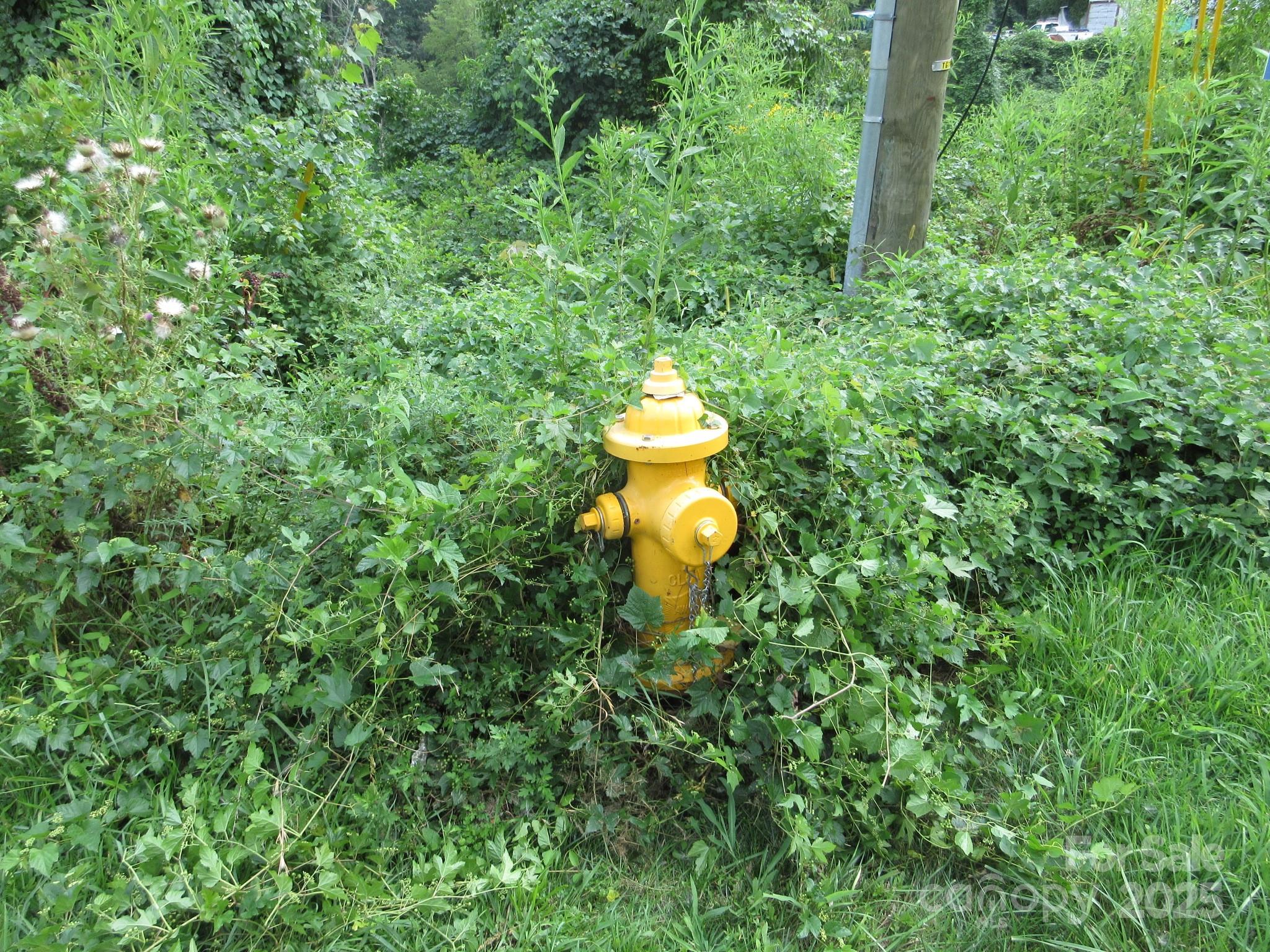 Green Path Commons - Land