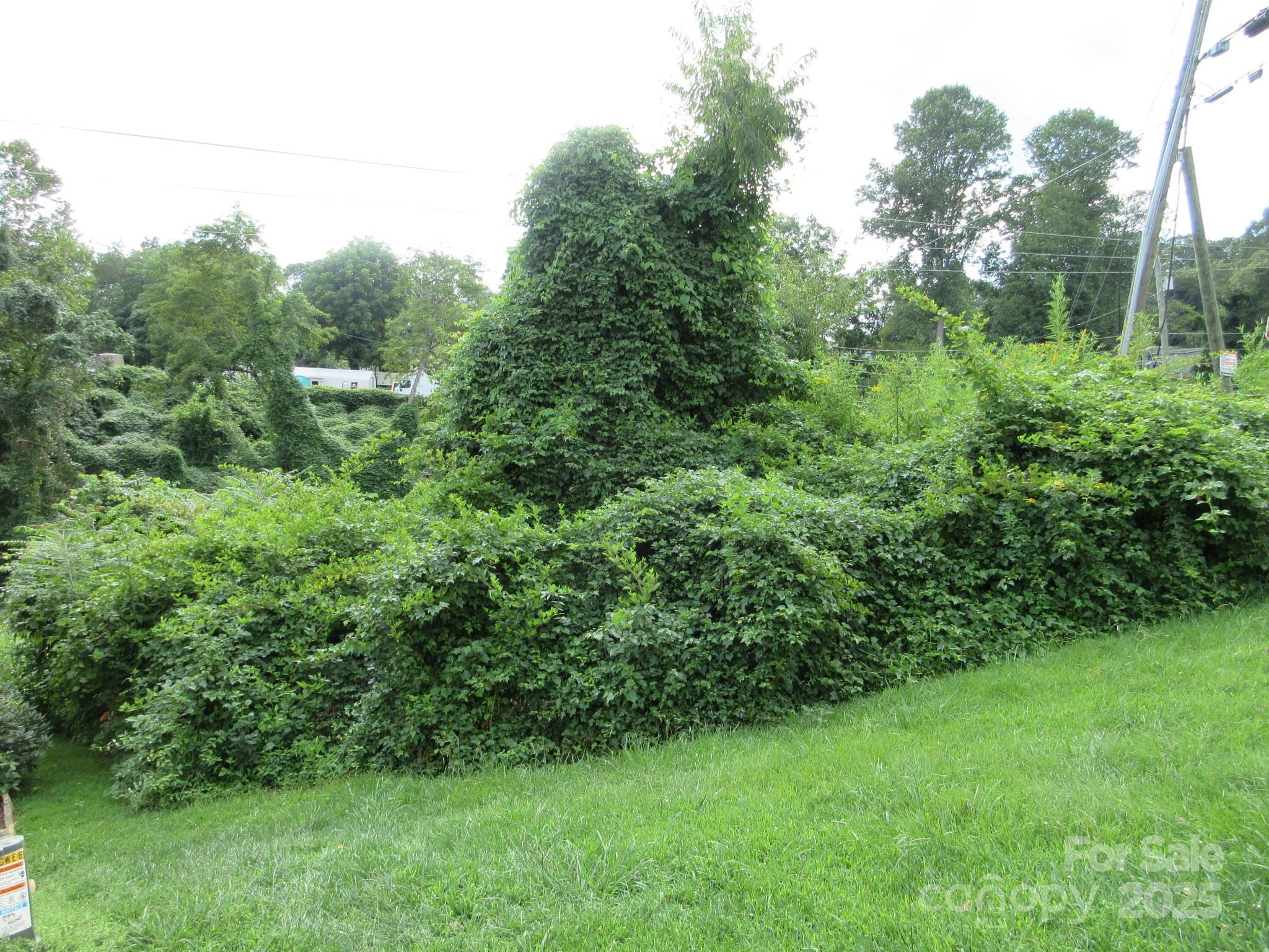 Green Path Commons - Land