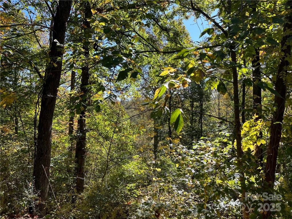 000 Rambling Creek Road 11