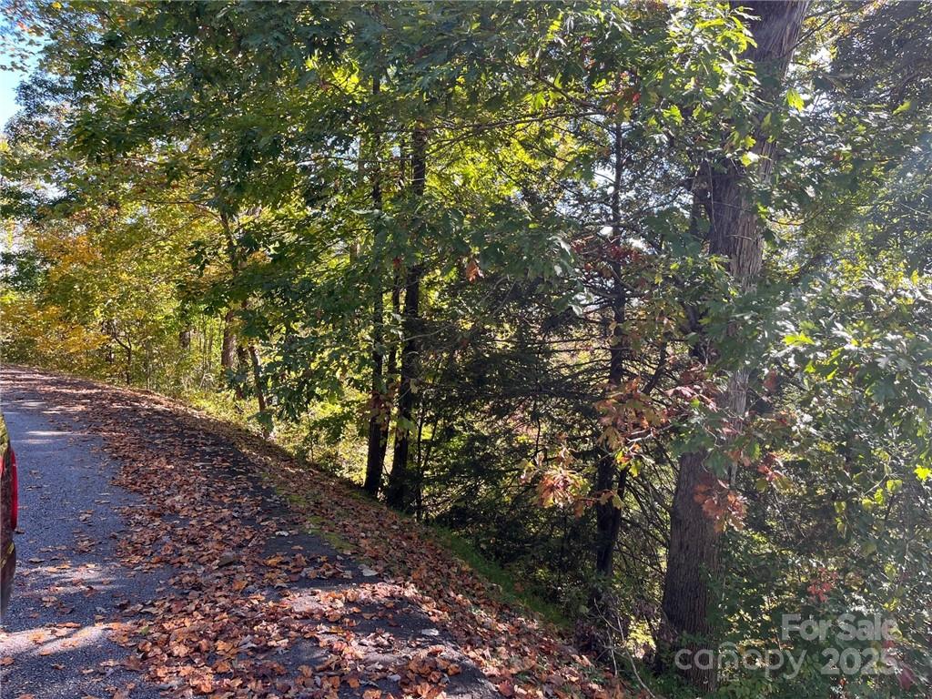000 Rambling Creek Road 11