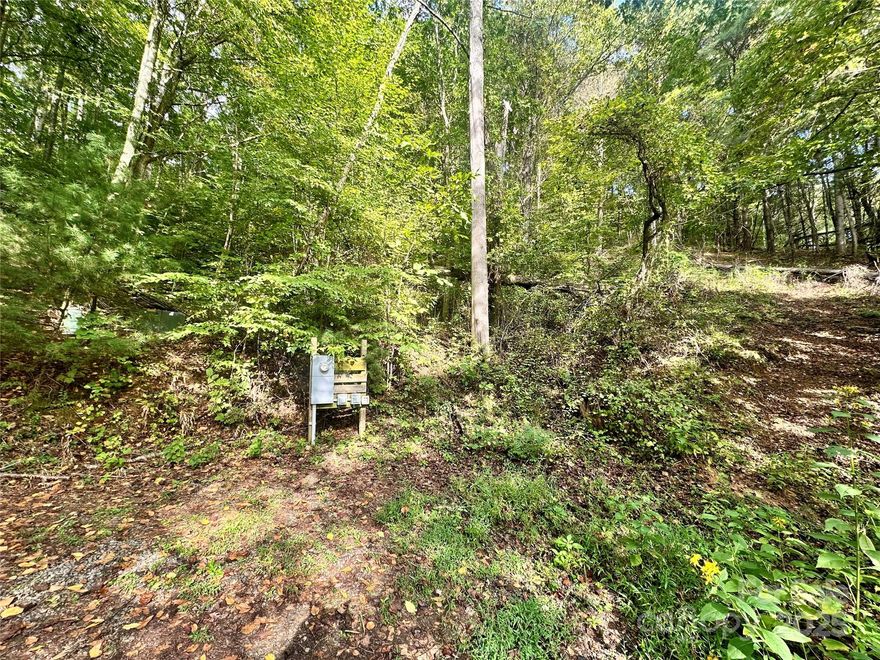 Discover a opportunity to own this private, unrestricted parcel of land. Nestled in a serene, deeply wooded area this property presents the perfect canvas for whatever you dream it to be.  With its generous size this parcel could have the potential of being subdivided into multiple lots or for inidivuals seeking a tranquil escape. There is power on the smaller parcel with camper hookups already in place. Don't miss out on this unique chance to own you own piece of Asheville!