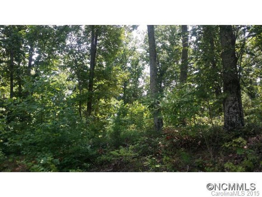 Level lot with easy rise to buildable site. Possible mountain views with clearing. Located in small, well-established neighborhood close to downtown Tryon; public water tap available. Bring your contractor and build your dream home or mountain retreat!