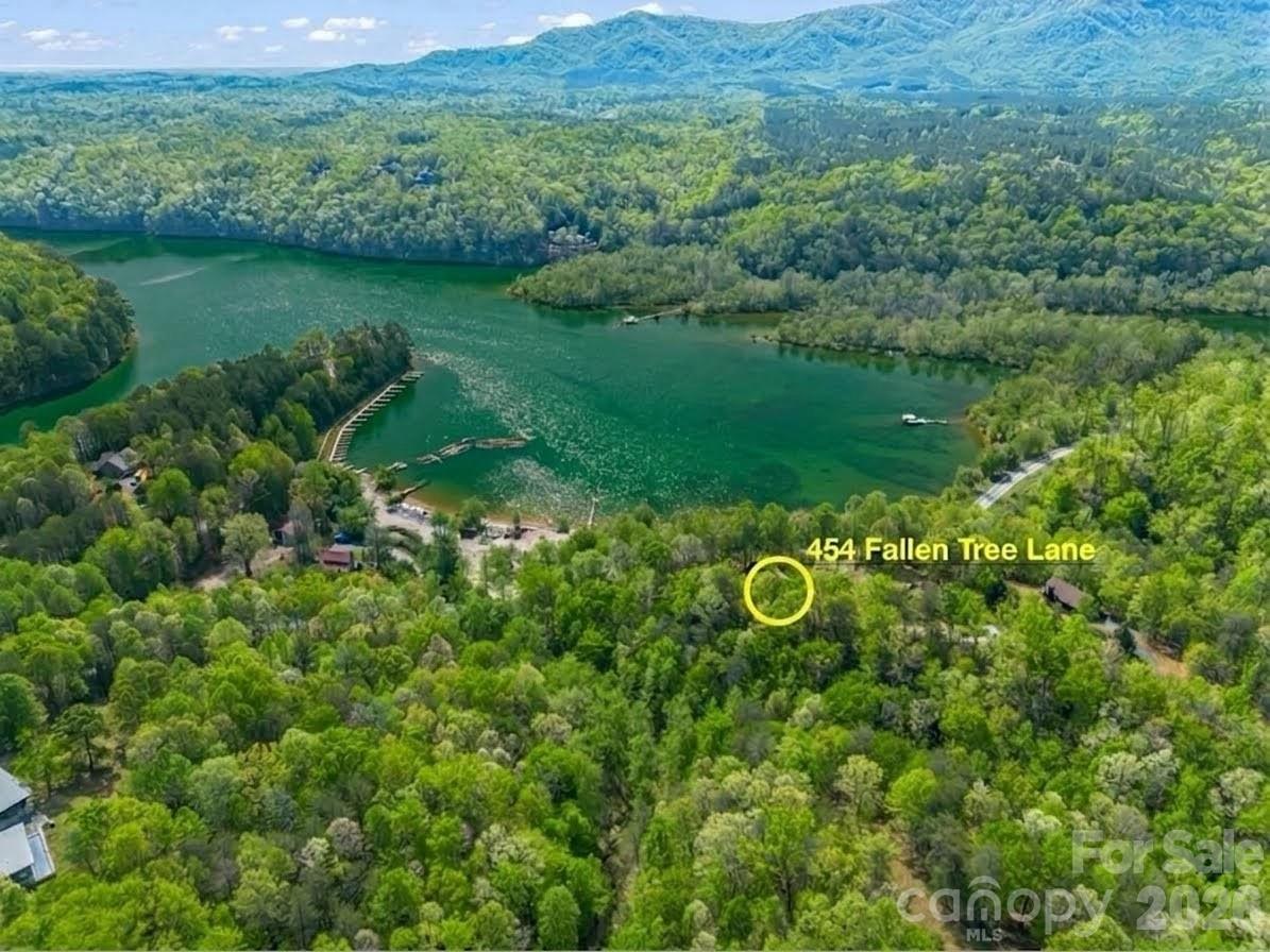 454 Fallen Tree Lane