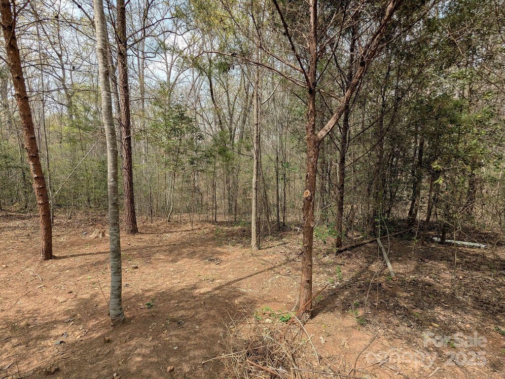 listing image 26