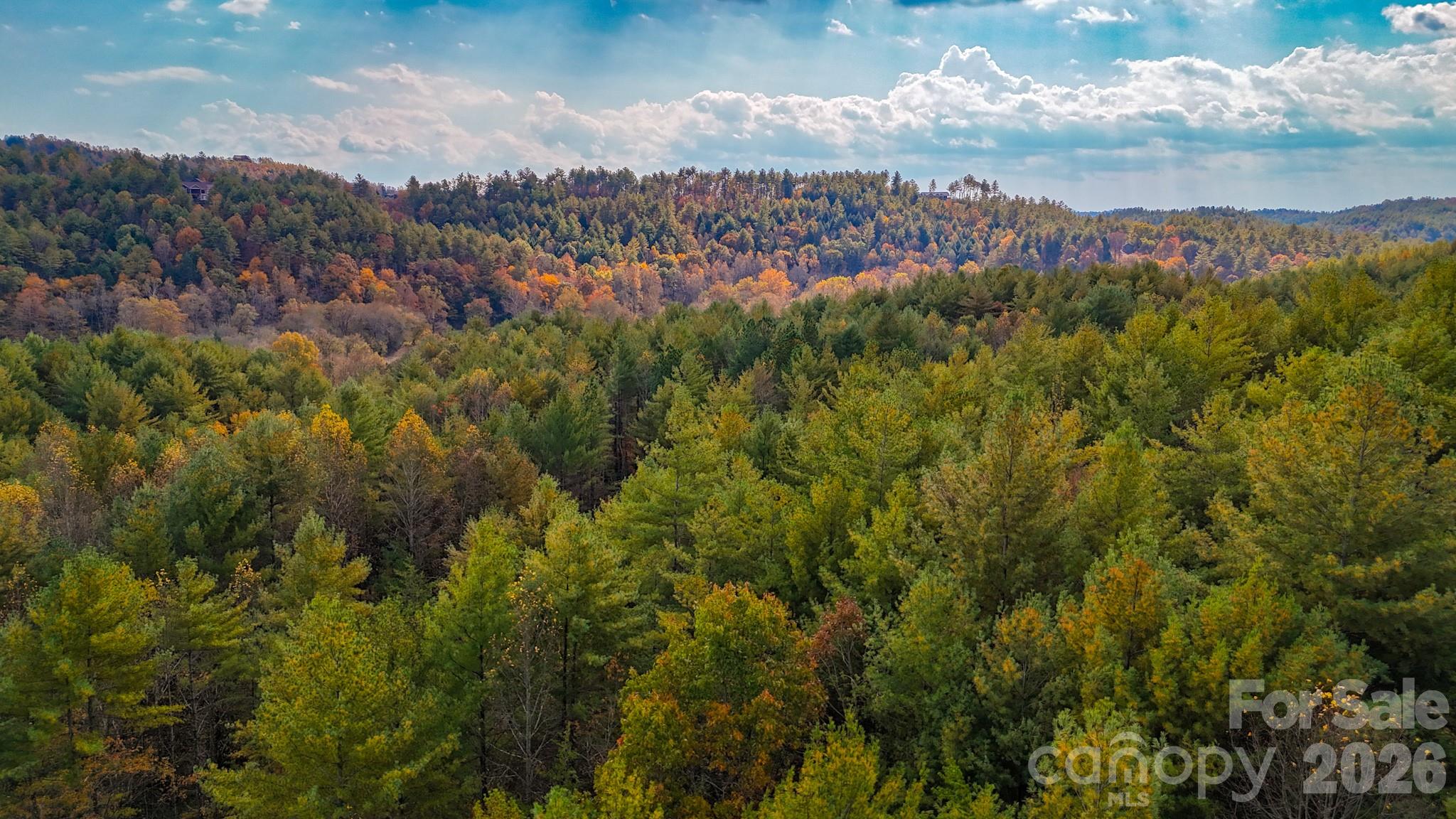 The Bluffs of Wilson Creek - Land