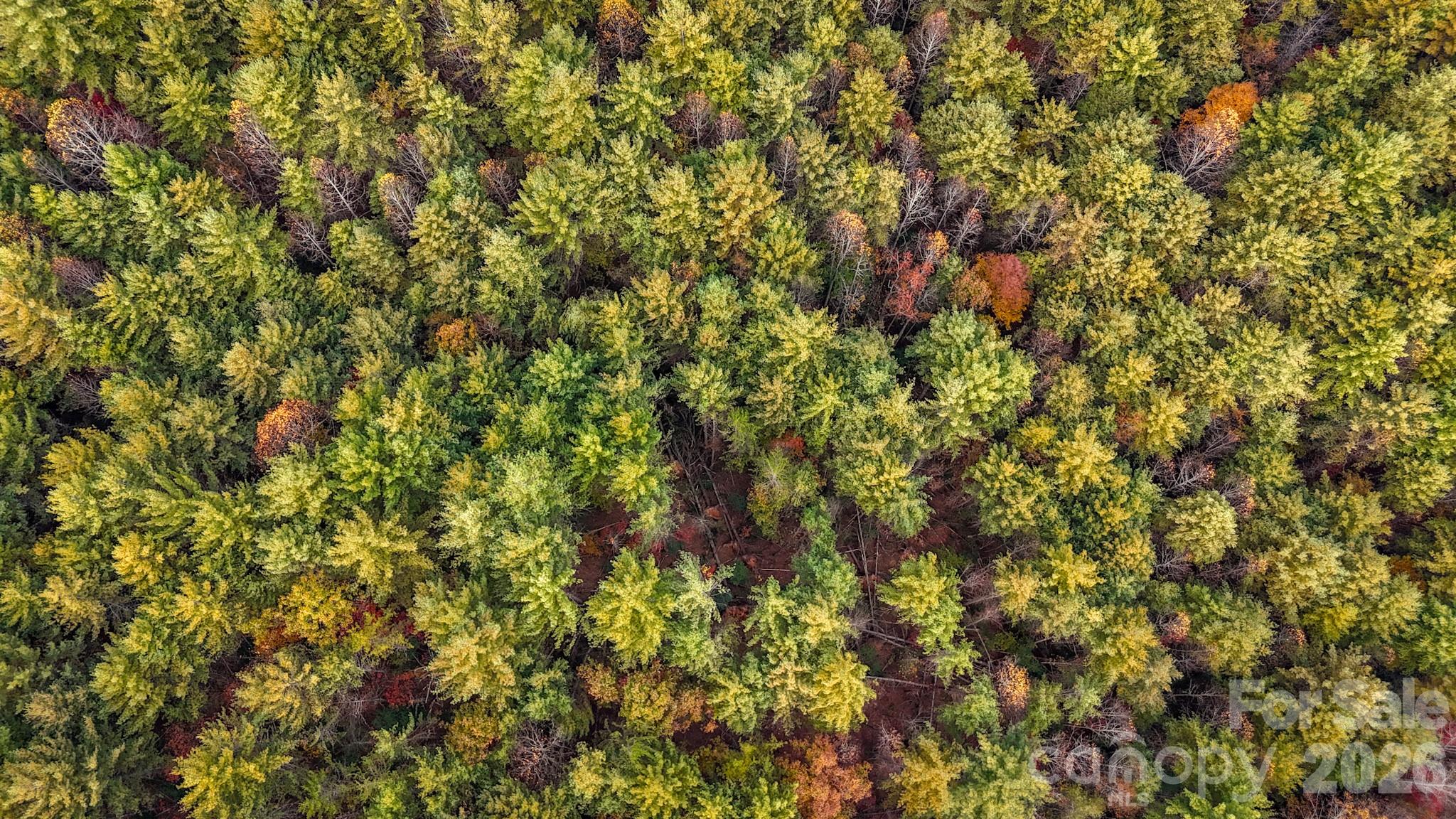 The Bluffs of Wilson Creek - Land