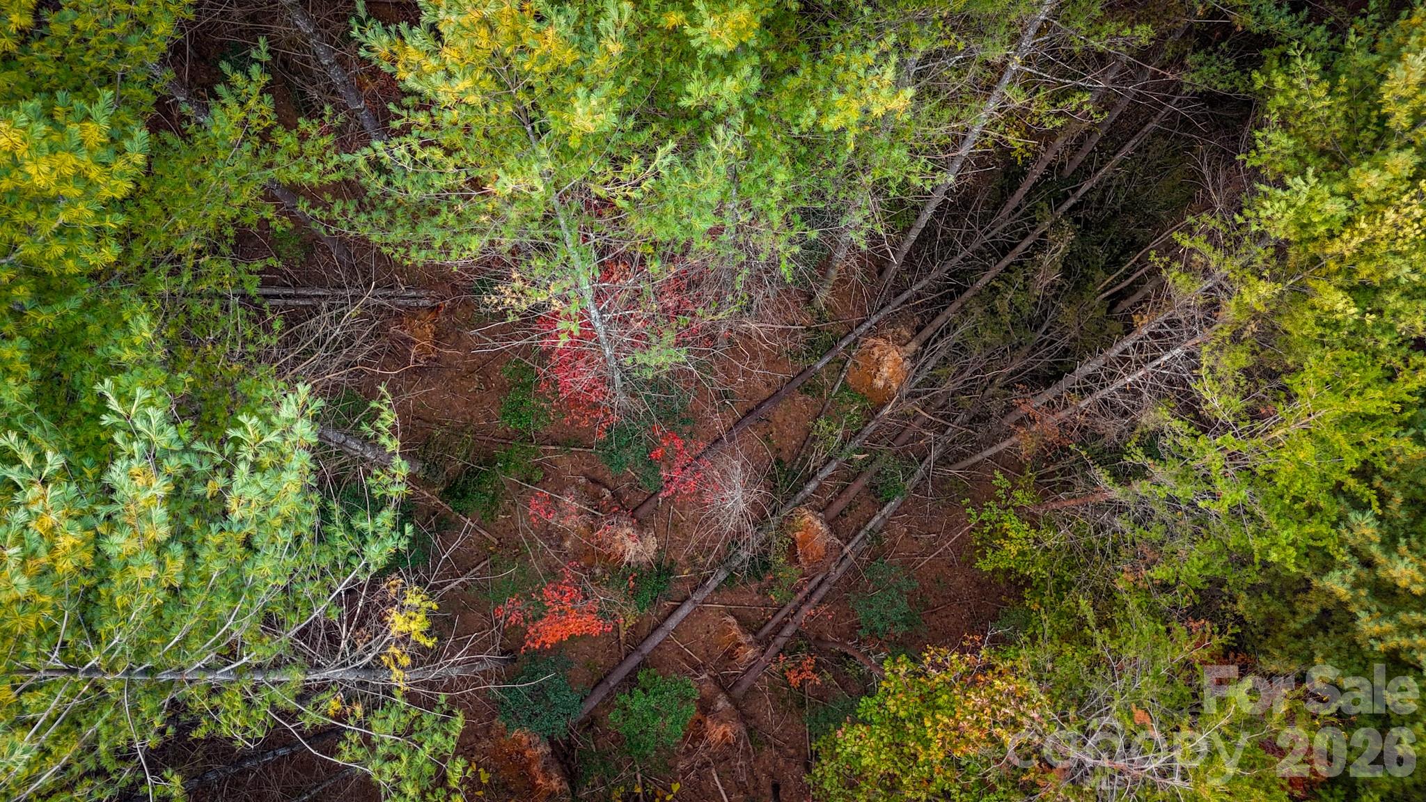 The Bluffs of Wilson Creek - Land