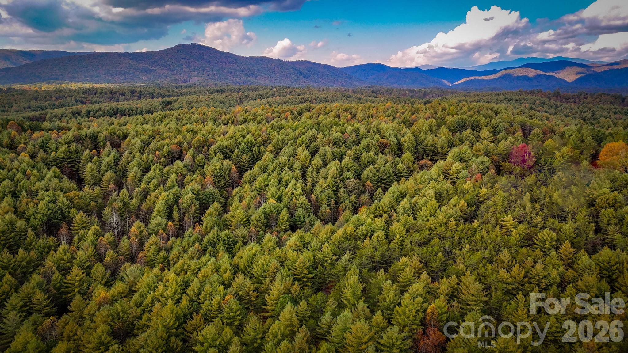 The Bluffs of Wilson Creek - Land