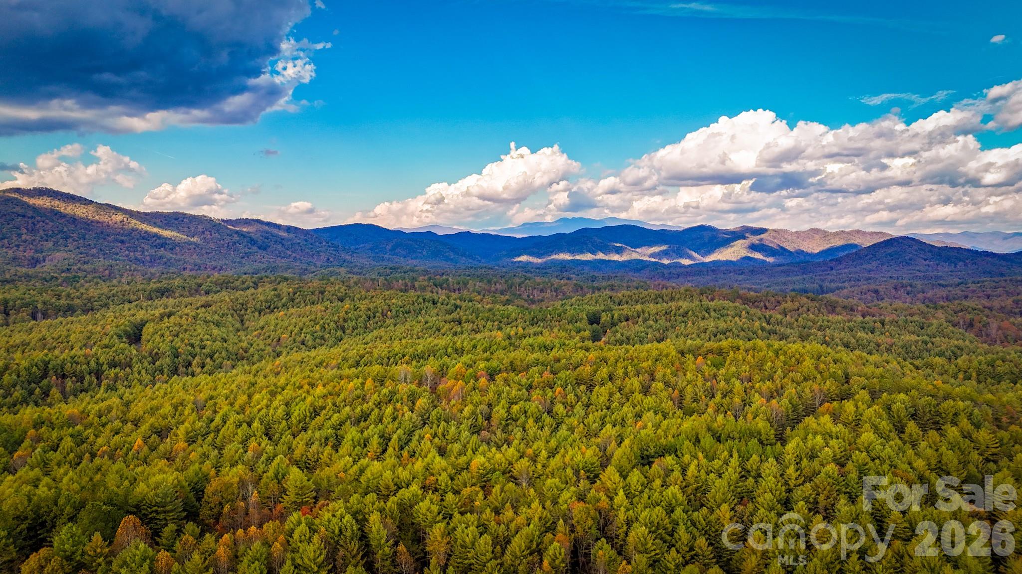 The Bluffs of Wilson Creek - Land