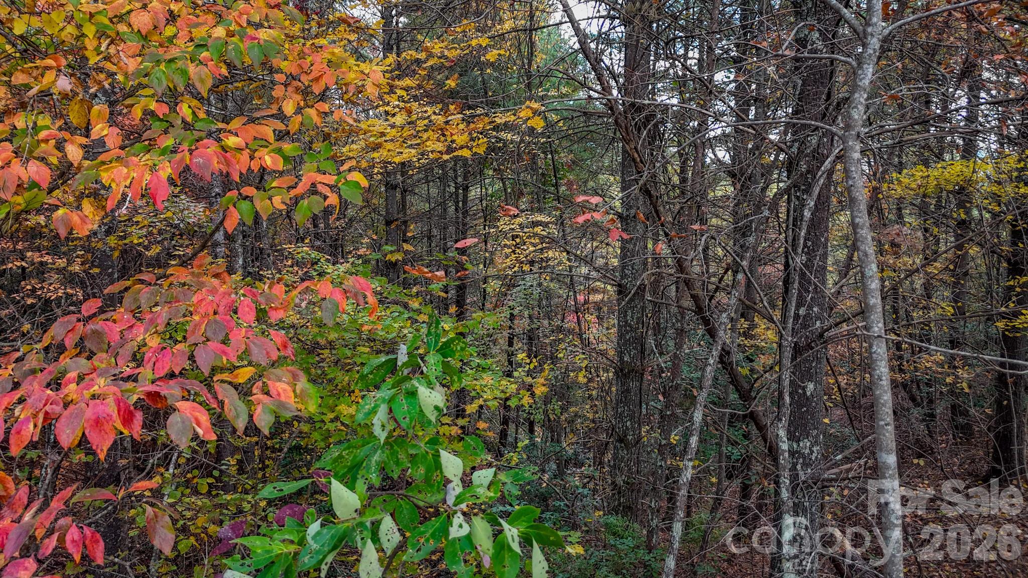 The Bluffs of Wilson Creek - Land