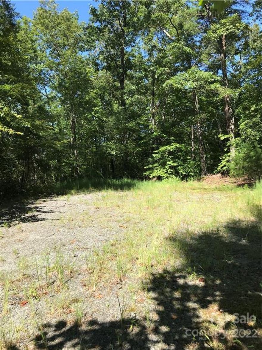 Ostin Creek Preserve borders this property on the lake side of the road beginning on the left side of the intersection with Lake Adger Parkway.  That portion is about a third of an acre.  The 2.03 balance is on the other side of the road starting at the lowest point before the road starts to rise. In Lake Adger Communities life can slow down and you can focus on hiking, water sports or just enjoying clean mountain air!  There are more than 15 miles of trails  and the lake is accessible to all property owners.  The beautiful Green River is nearby.  Asheville and Hendersonville are to the north and south you have Tryon, Greenville and Spartanburg.  Lake Lure is just up the road. Enjoy many venues for entertainment and return home to peace and quiet.  The driveway circles through the lot and returns to the road.  Enjoy your visit and be sure to note the trees, rhododendron and mountain laurel!  This lot offers privacy, views and a great community at an affordable price.  See it soon!