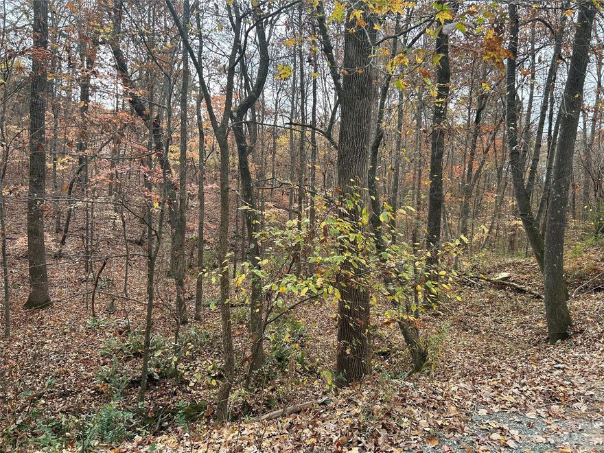 ~HUGE PRICE REDUCTION~Want to be tucked away and build your own home? Here is a quiet 3.47 Acre property in Stanly County for you to enjoy. The seller has had a soil analysis completed and is attached for your agent to provide this information to you.  Also, the seller is also providing you the survey!  No city taxes or HOA :) Beautiful canopy of trees included!