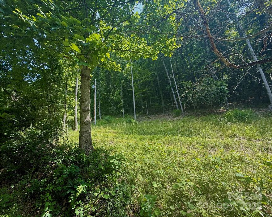 Rare find as this lot has an easy access with a builder friendly entrance and building site.  Gravel road is well maintained and can be driven on by any type of vehicle.  Drive your Accord or Jeep to the site as the road is gently sloping and has been well maintained.  Zoned Residential in Madison county.  Great location as it is 12 minutes to Mars Hill, 21 minutes to Weavervillle, 22 minutes to Burnsville and 28 minutes to downtown Asheville.