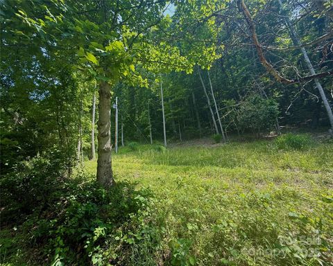 700 Wooded Mountain Trail Mars Hill NC 28754