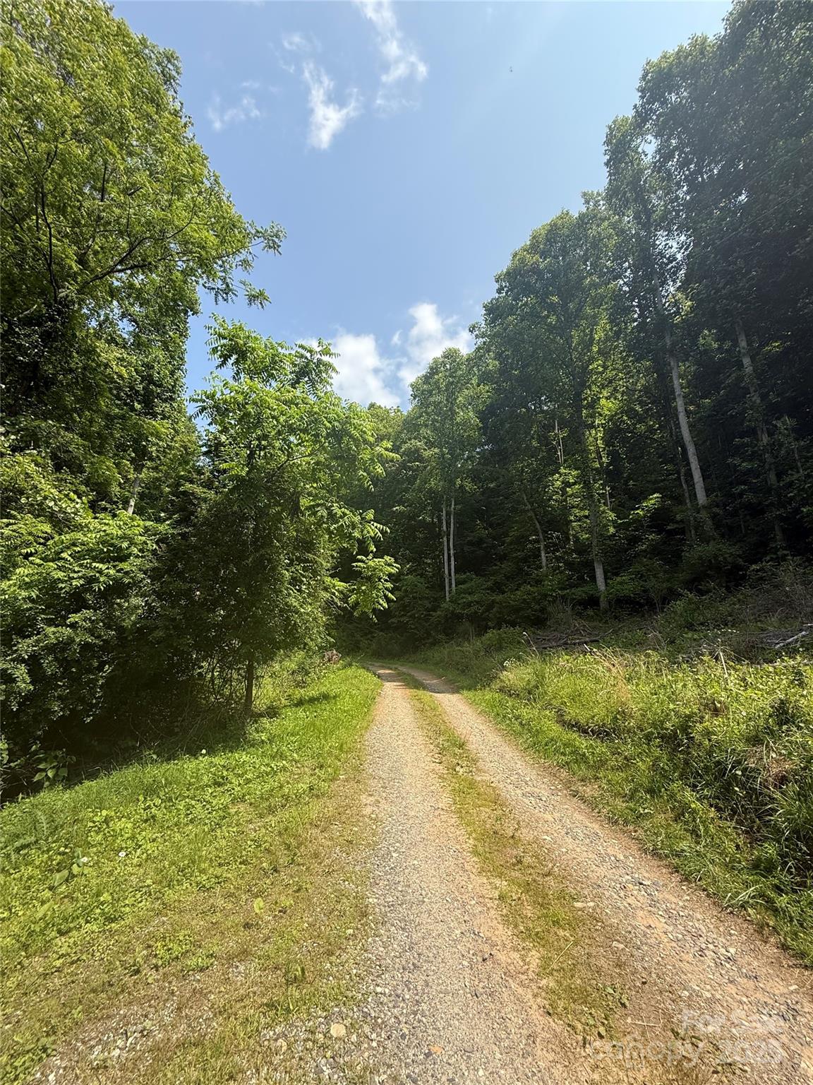 700 Wooded Mountain Trail