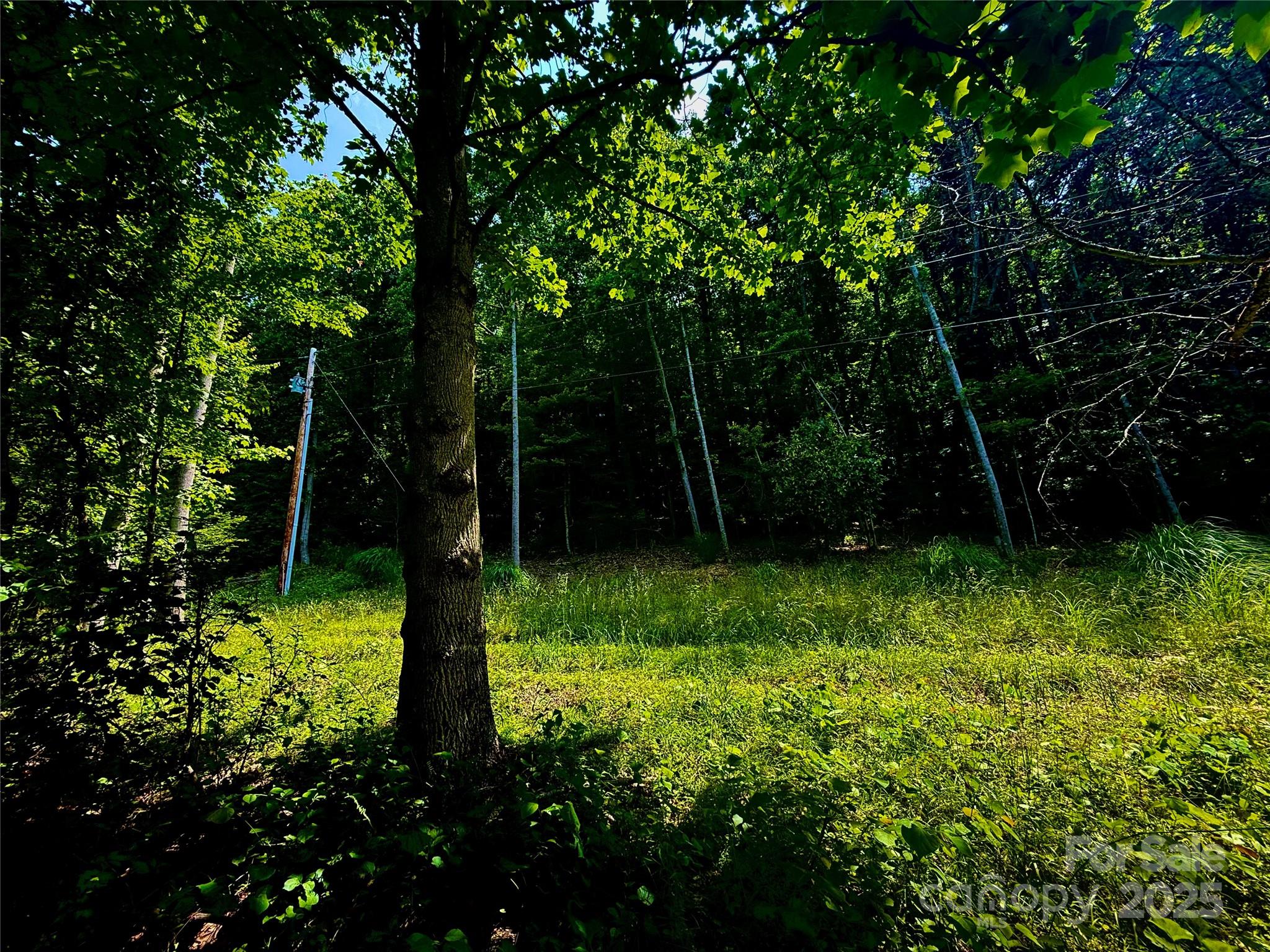 700 Wooded Mountain Trail