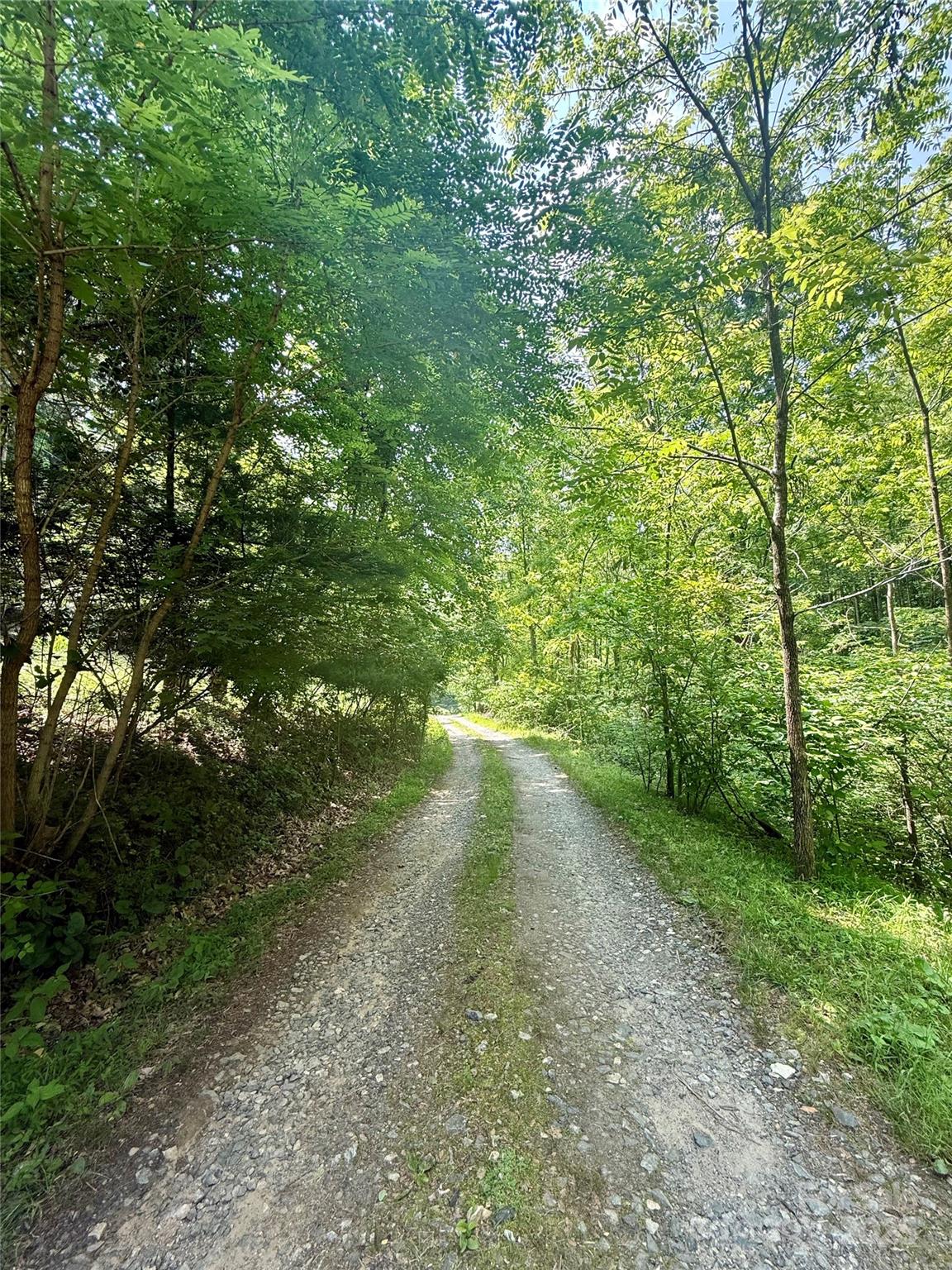 700 Wooded Mountain Trail