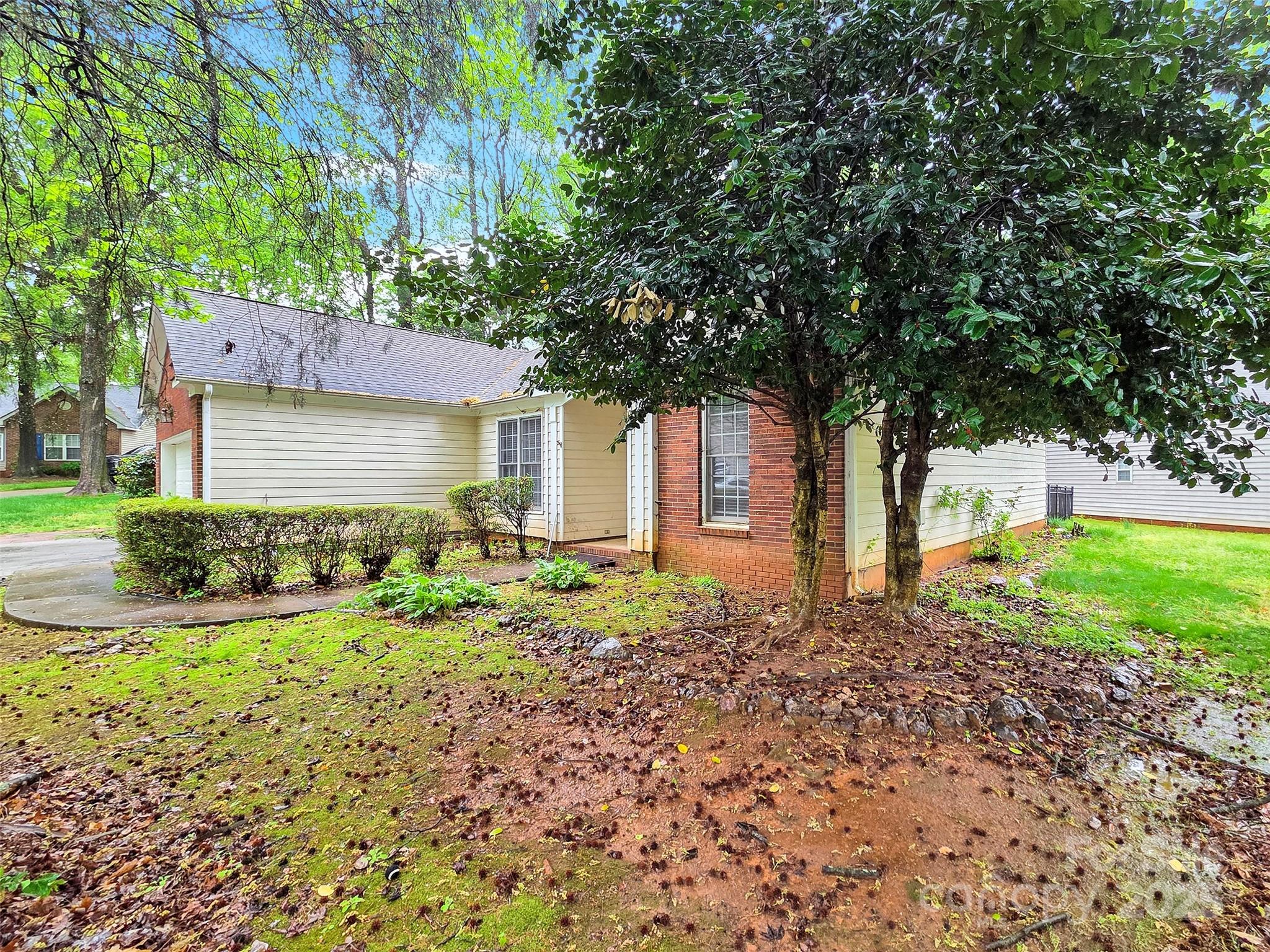 6520 White Pine Lane