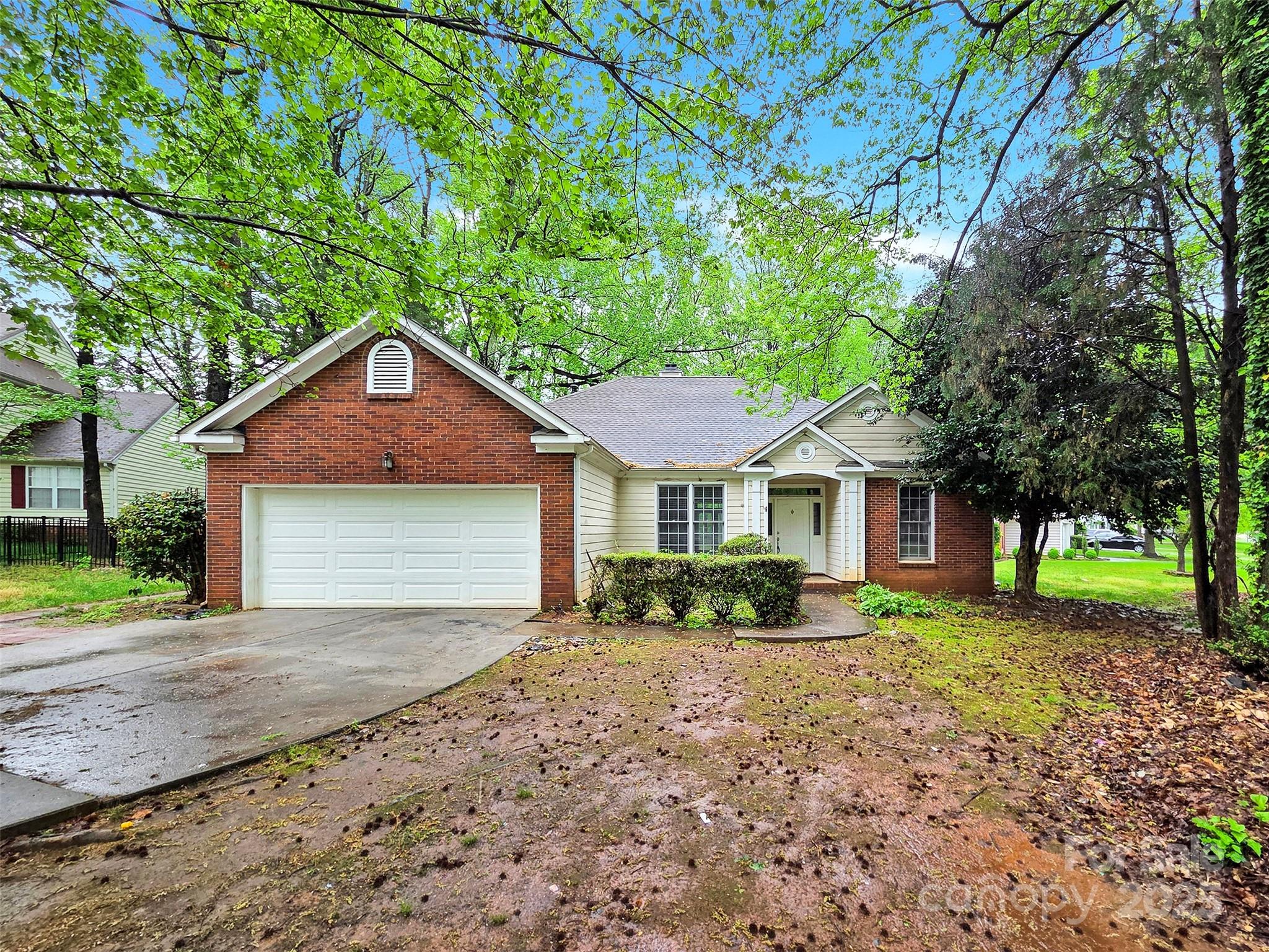 6520 White Pine Lane