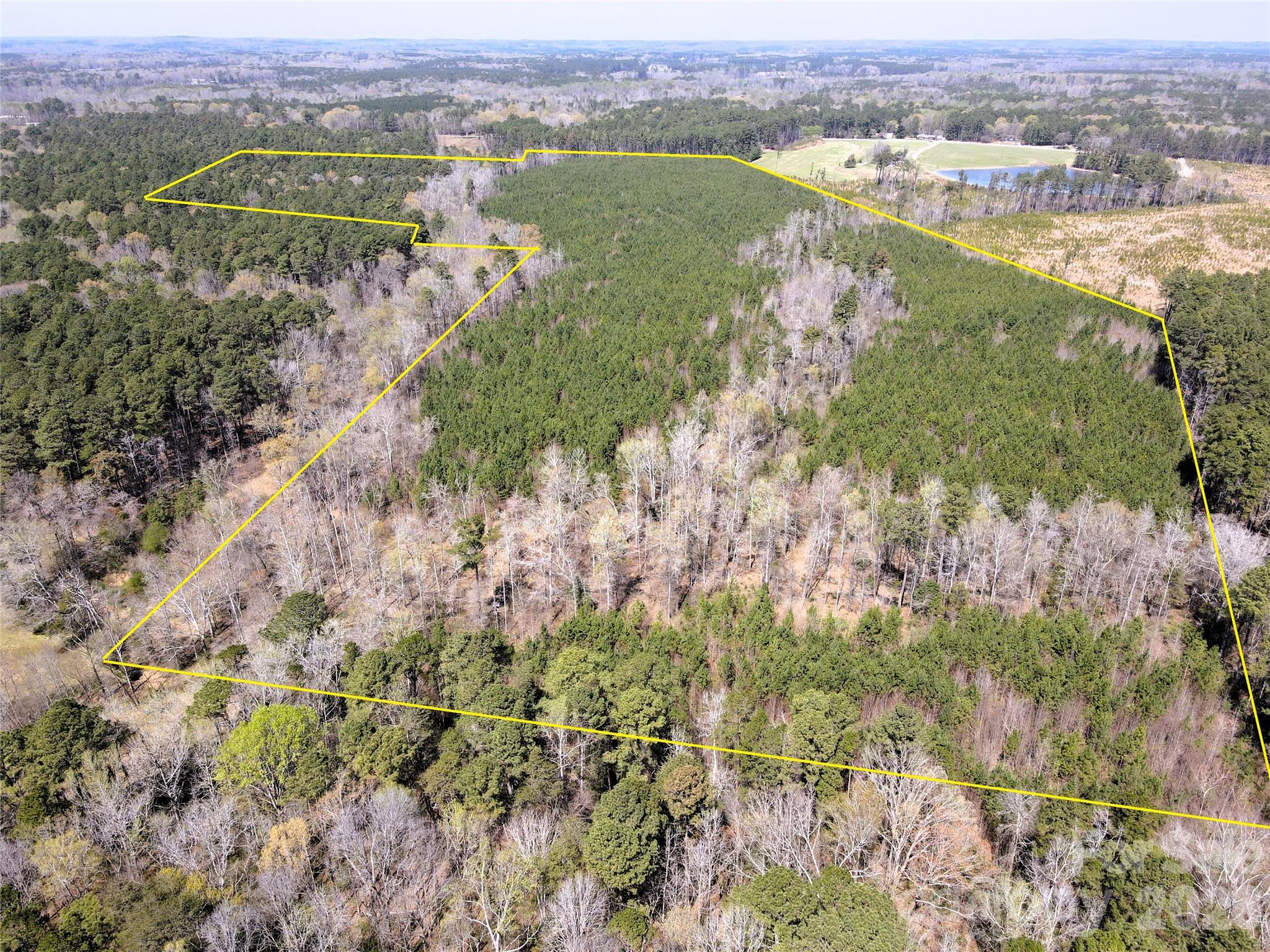 01 Collins Mountain Road