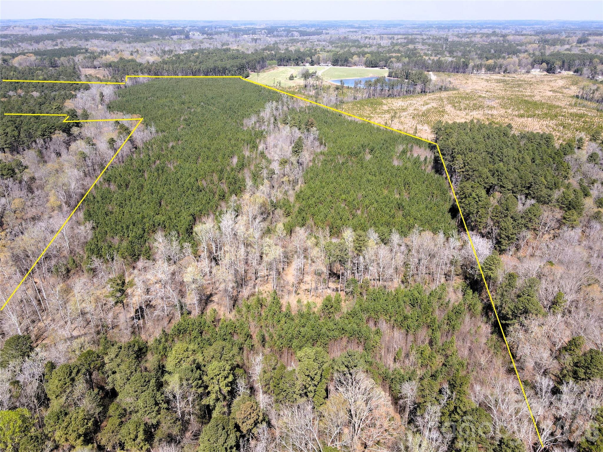 01 Collins Mountain Road