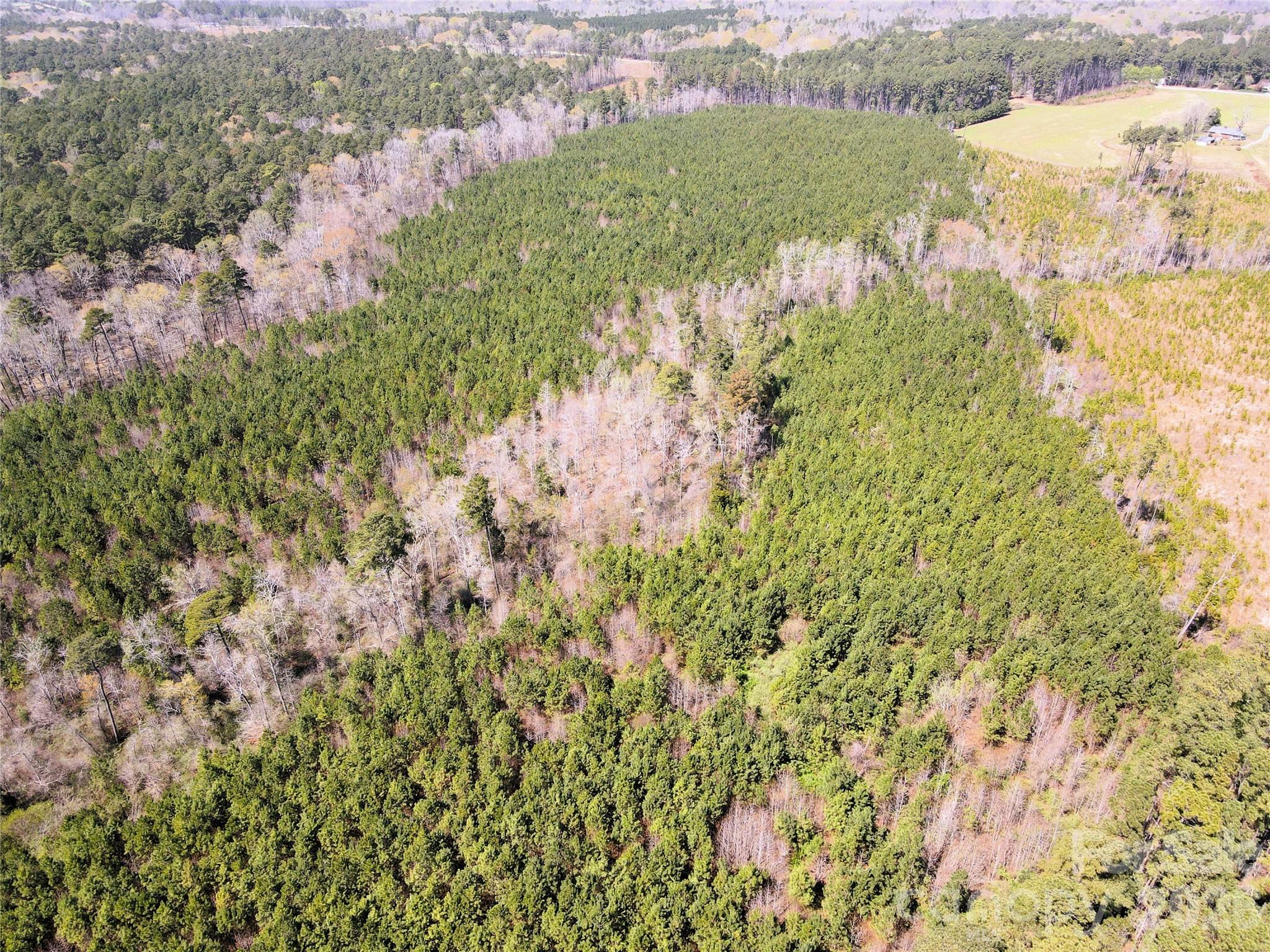 01 Collins Mountain Road